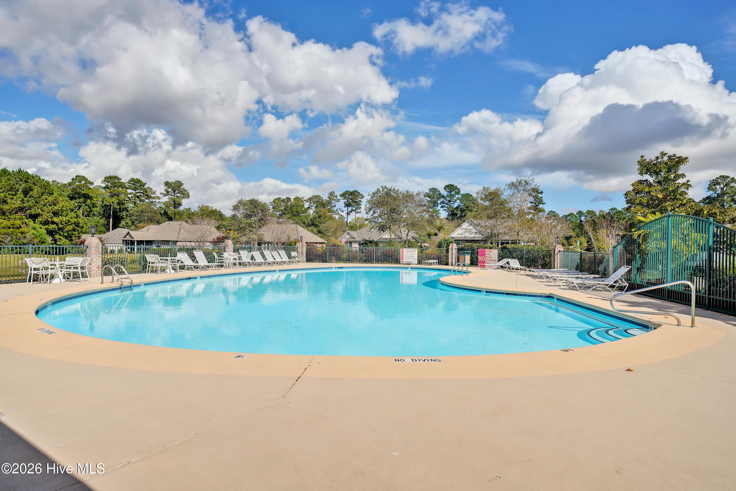 100561056 | Photo 35