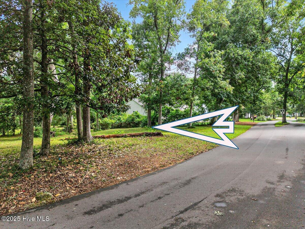 100481570 | Photo 14