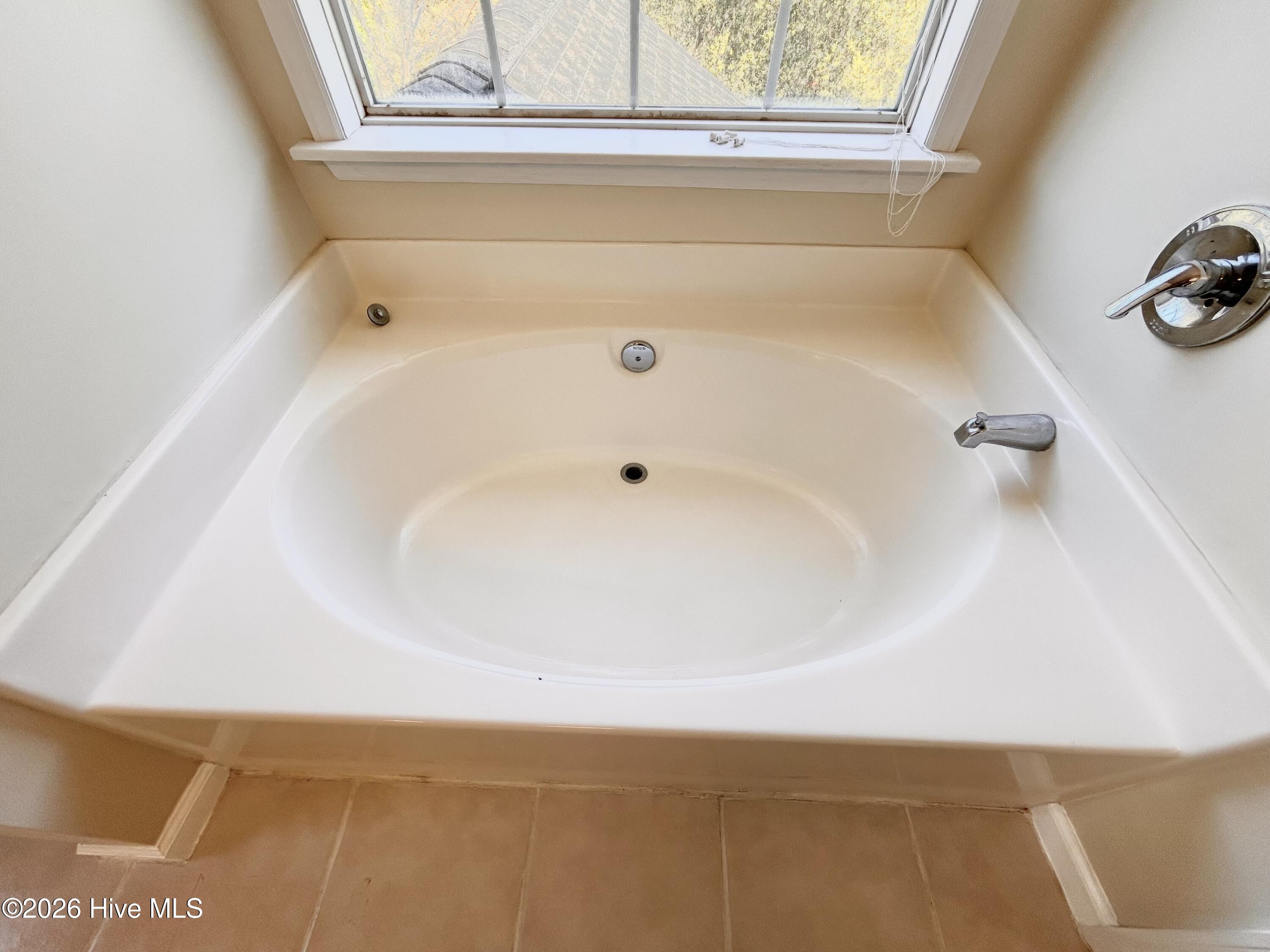 100564341 | Photo 28