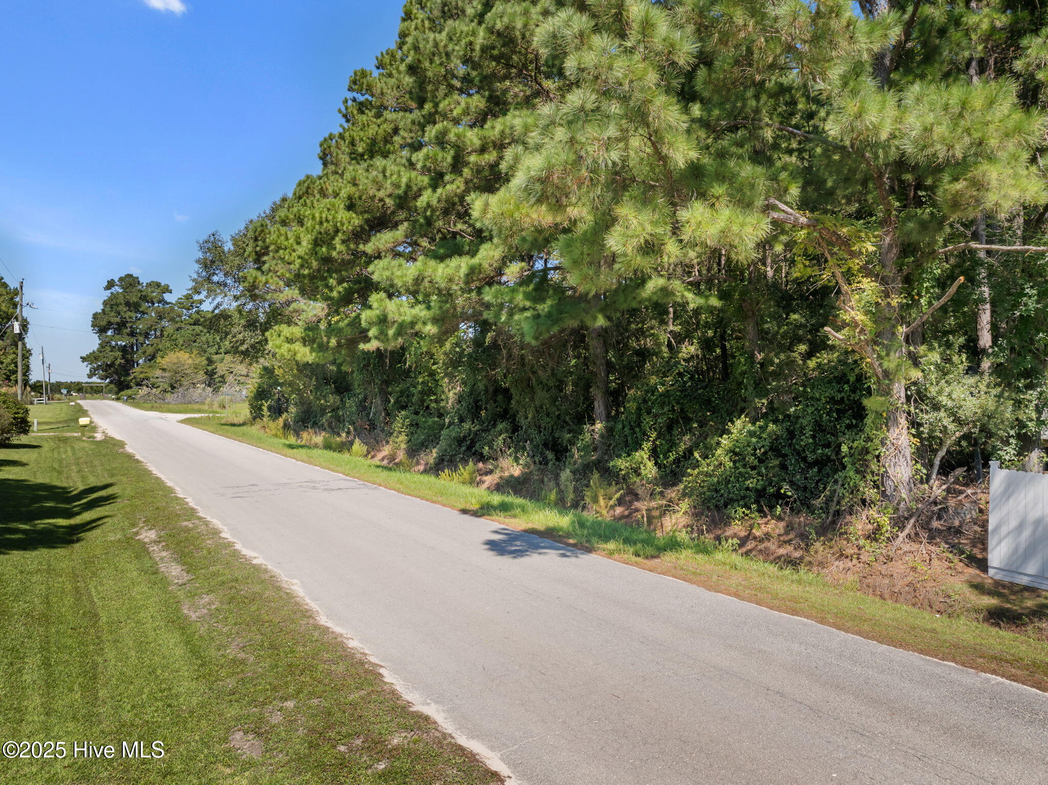 100527806 | Photo 15