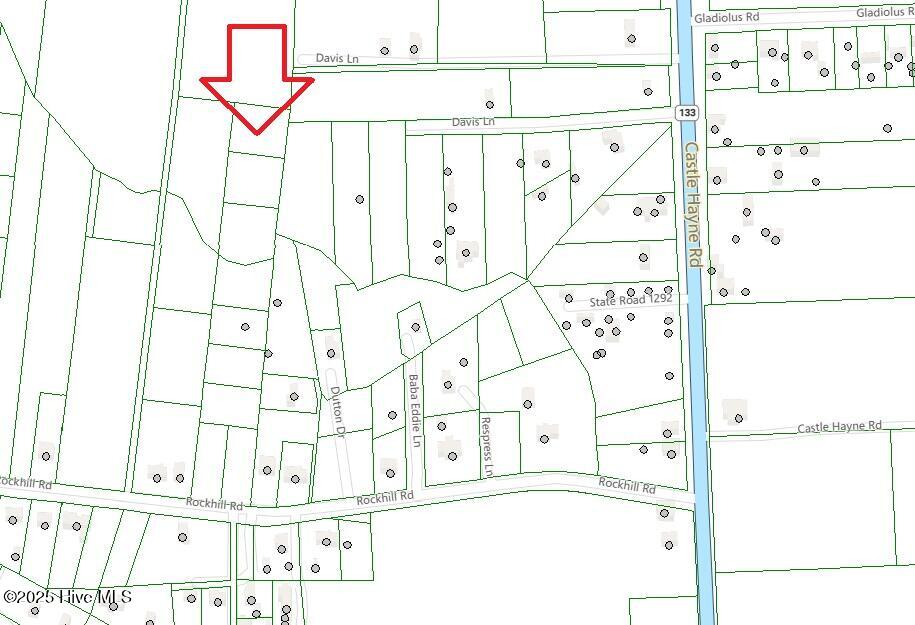 100546694 | Photo 10