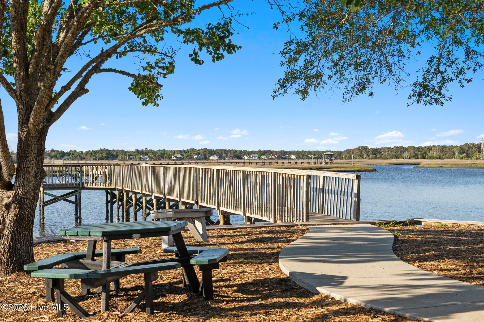 100568593 | Photo 37