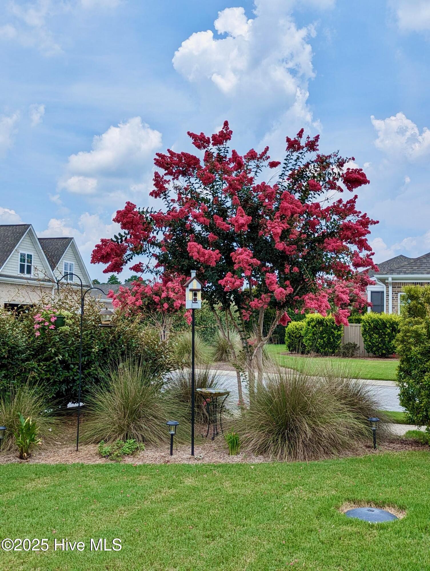 100542604 | Photo 54