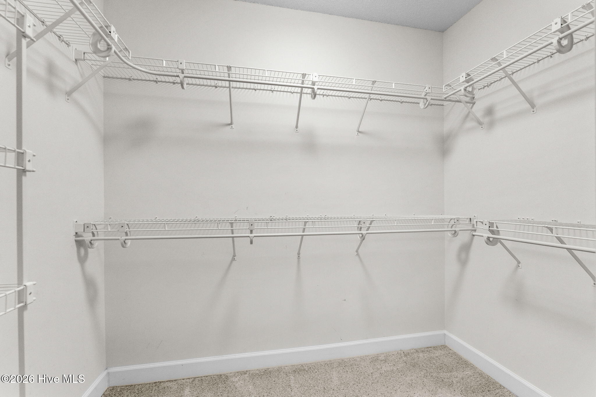 100570340 | Photo 38