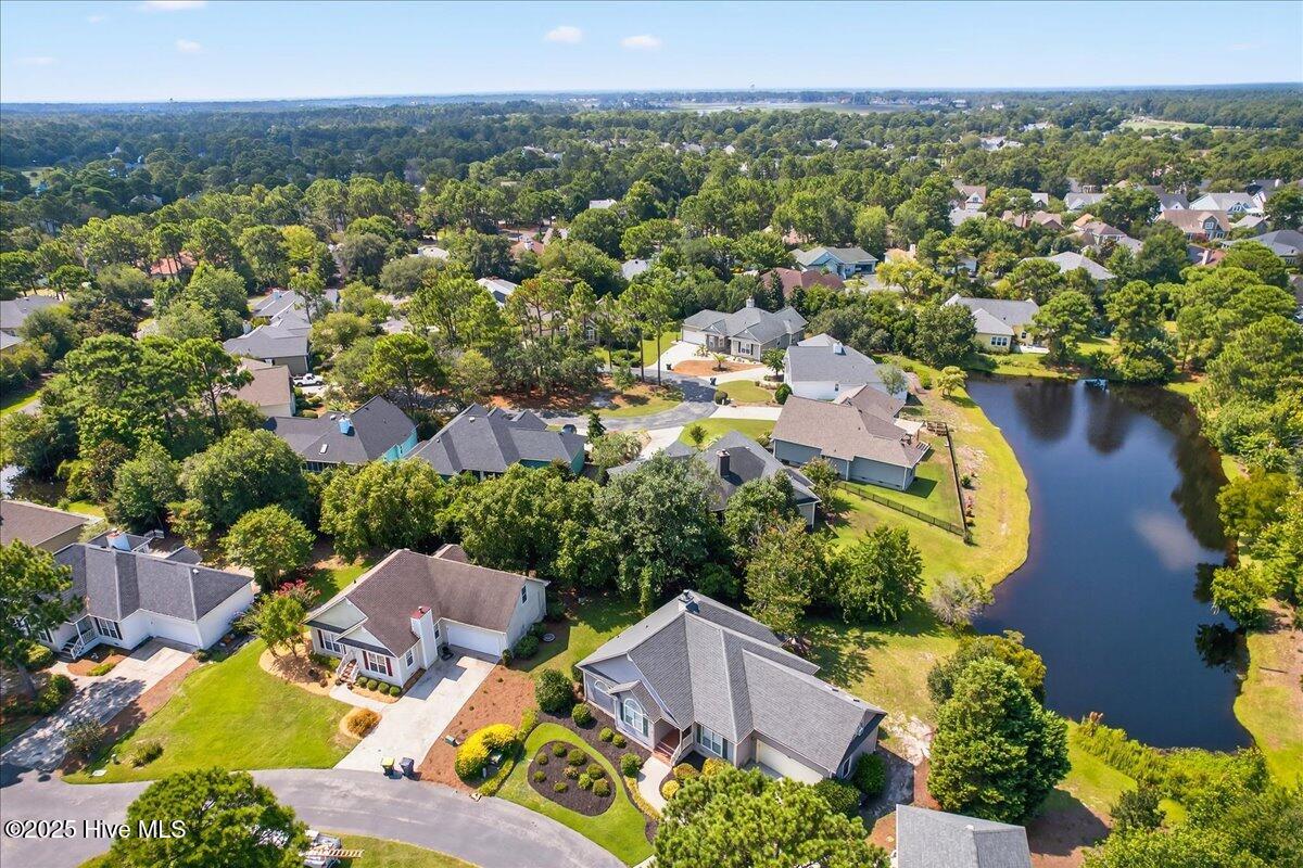 100561885 | Photo 93