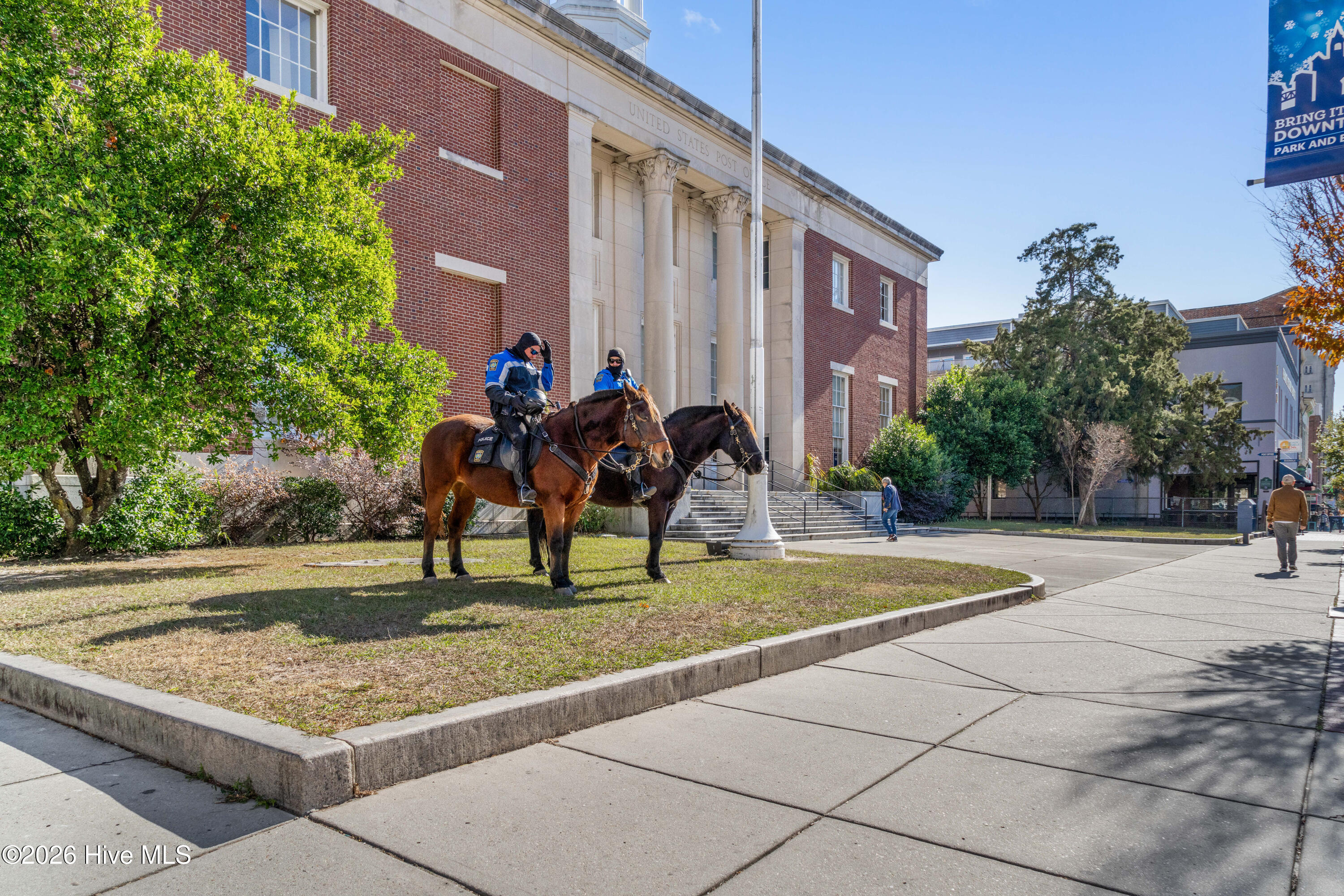 100555847 | Photo 34