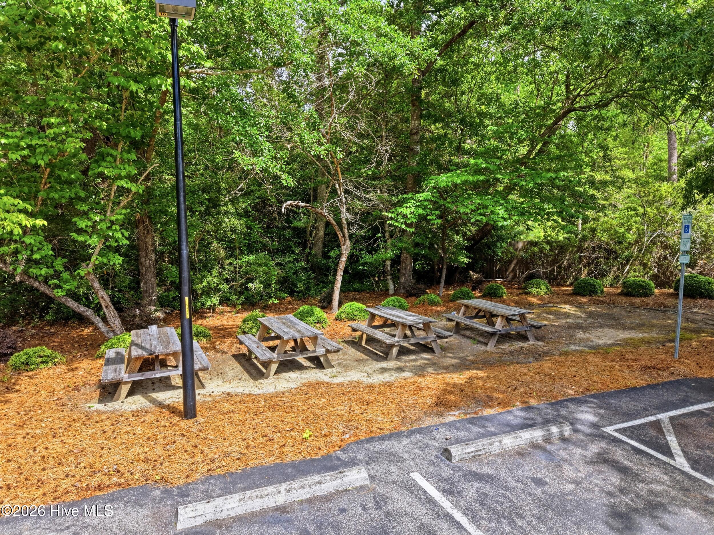 100570398 | Photo 40