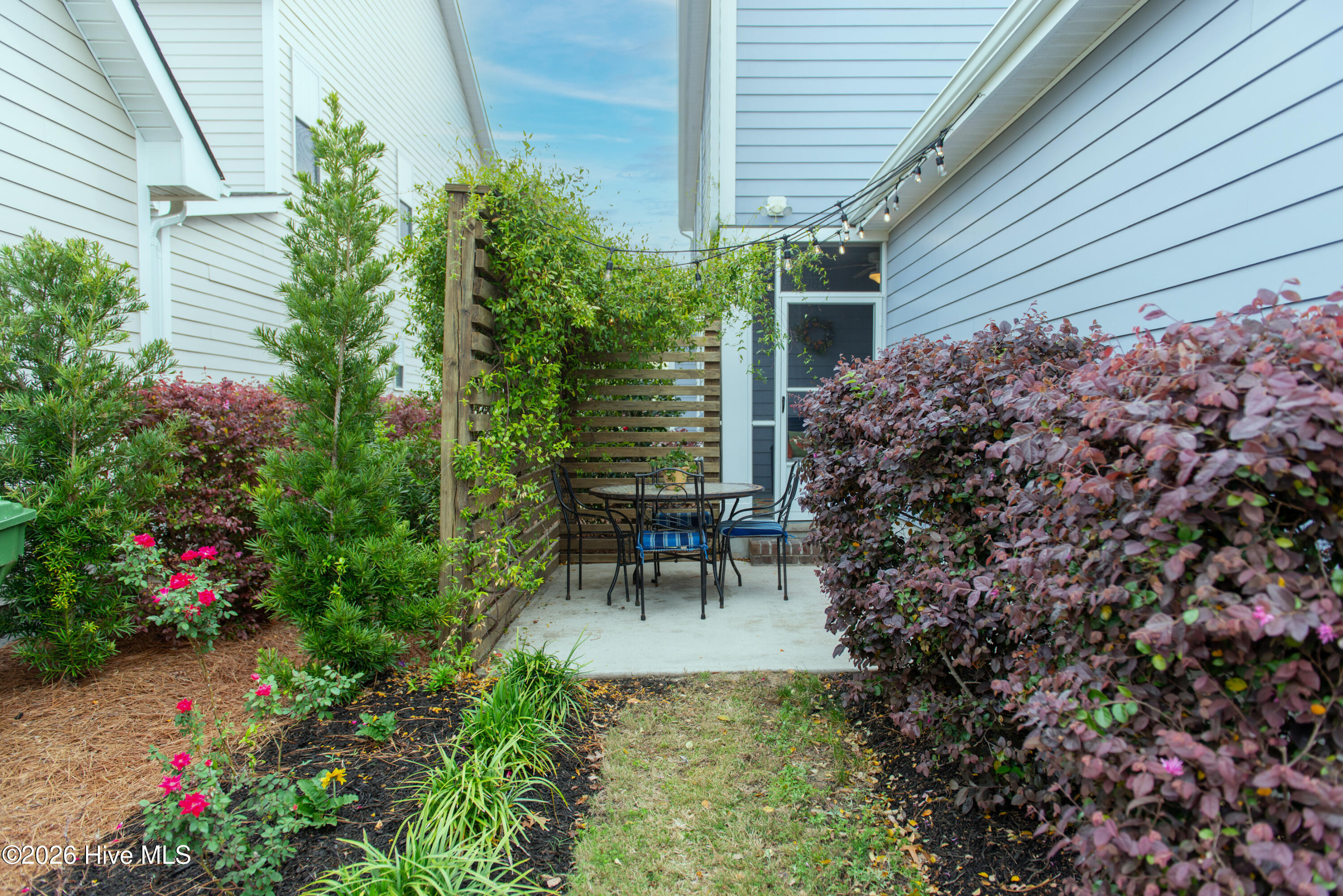 100568036 | Photo 63