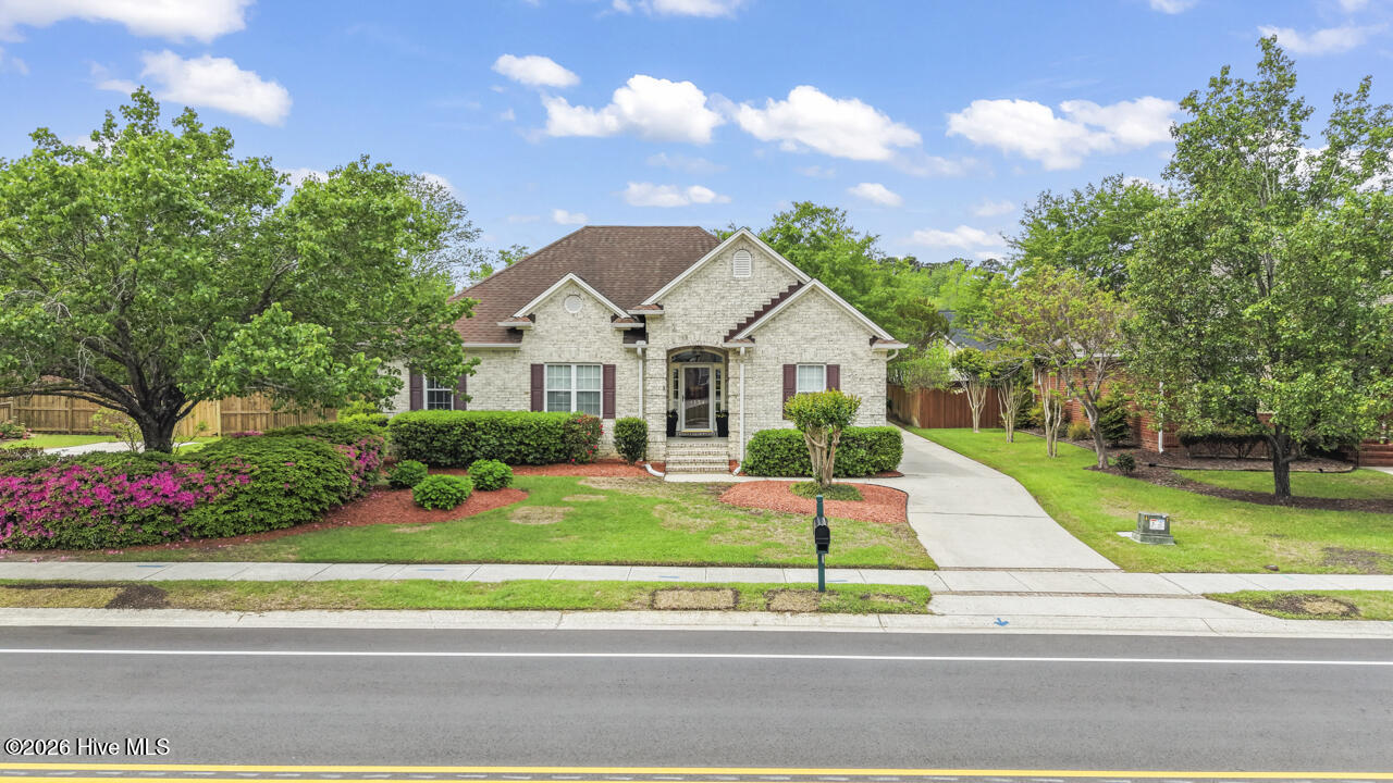 100554989 | Photo 77