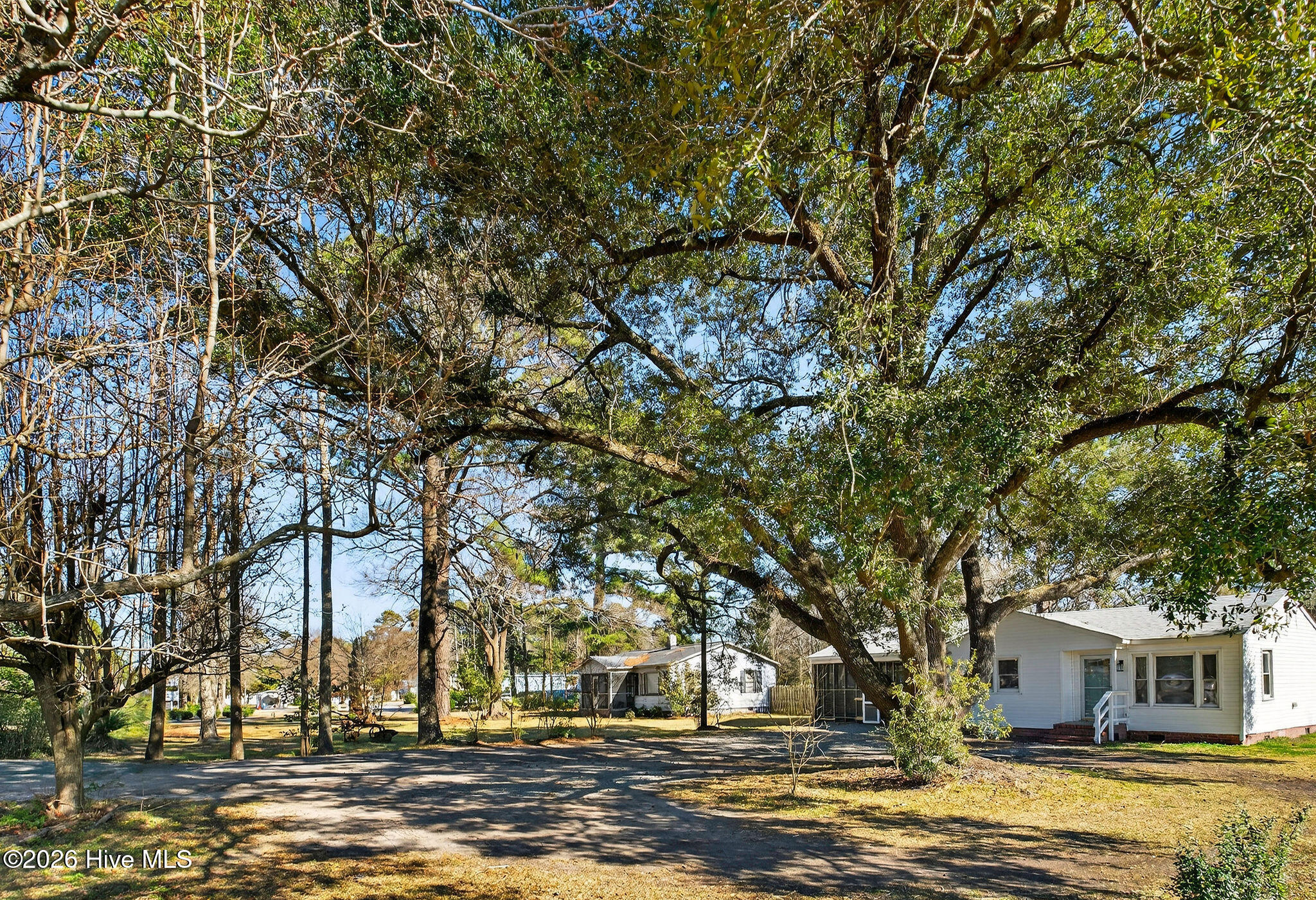 100550452 | Photo 40