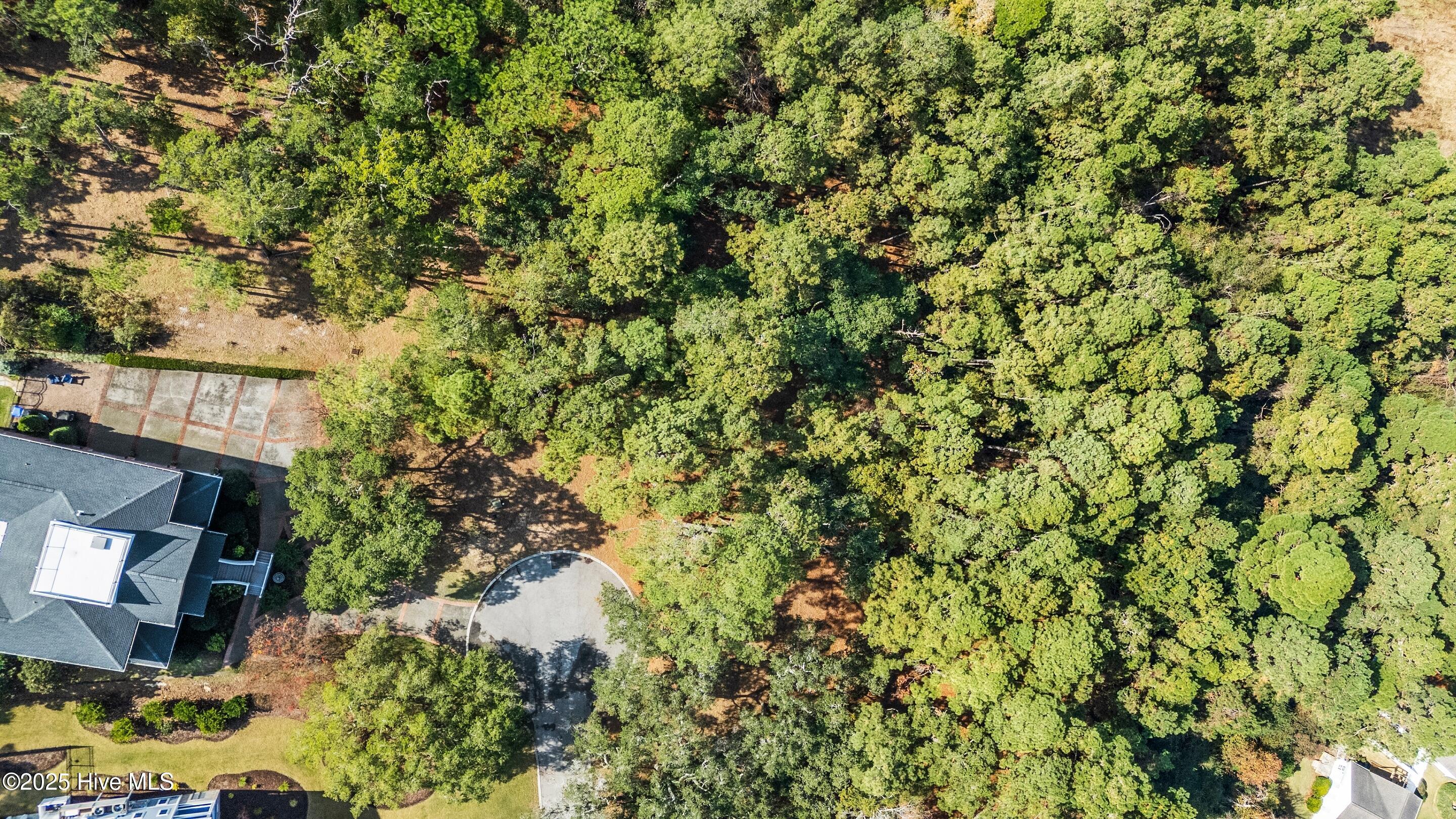 100543238 | Photo 10