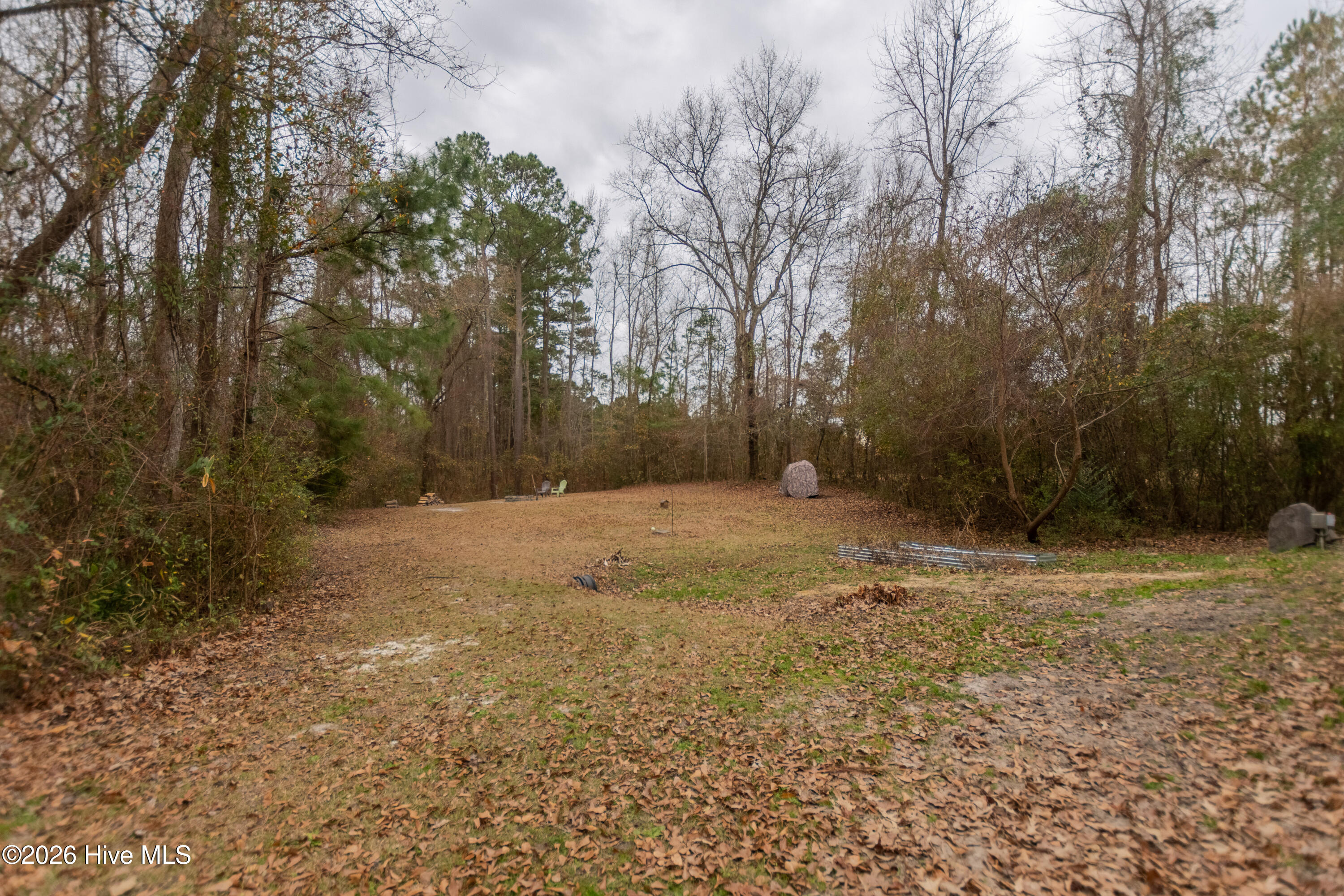 100548656 | Photo 24