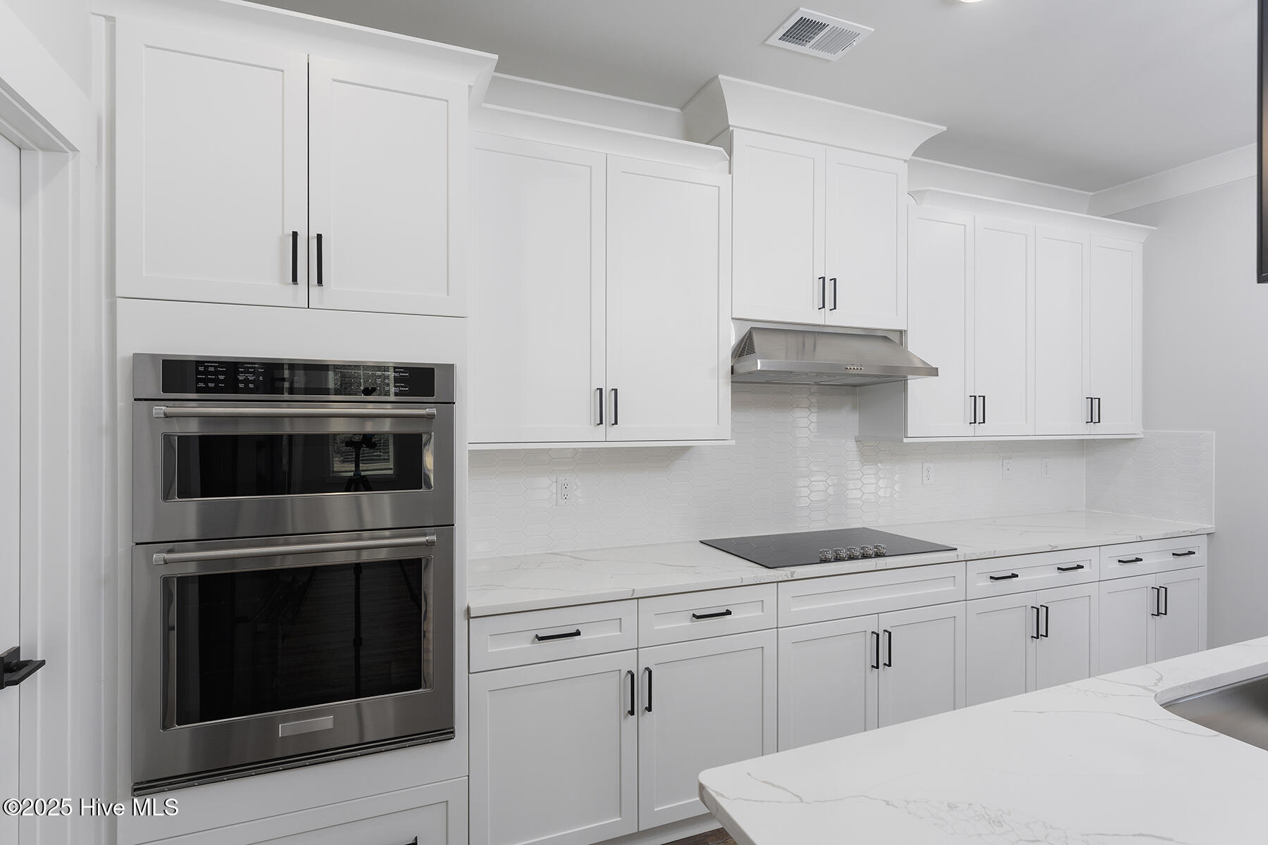 100506464 | Photo 11