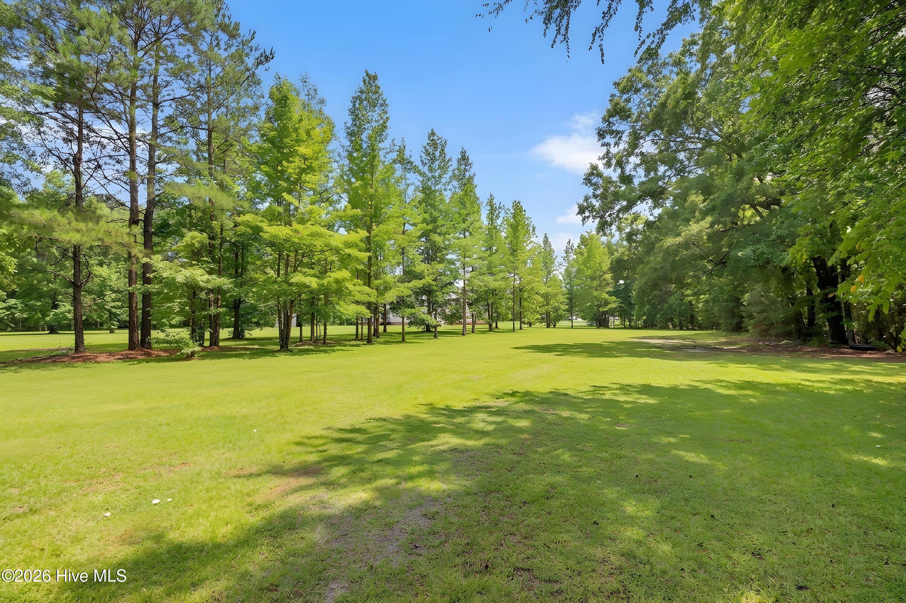 66th image of 205 Carrie Dr, Archer Lodge, NC 27527 | MLS# 100598476