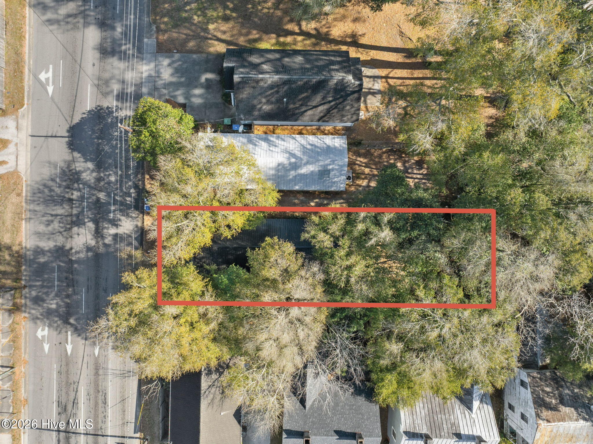 100548651 | Photo 19