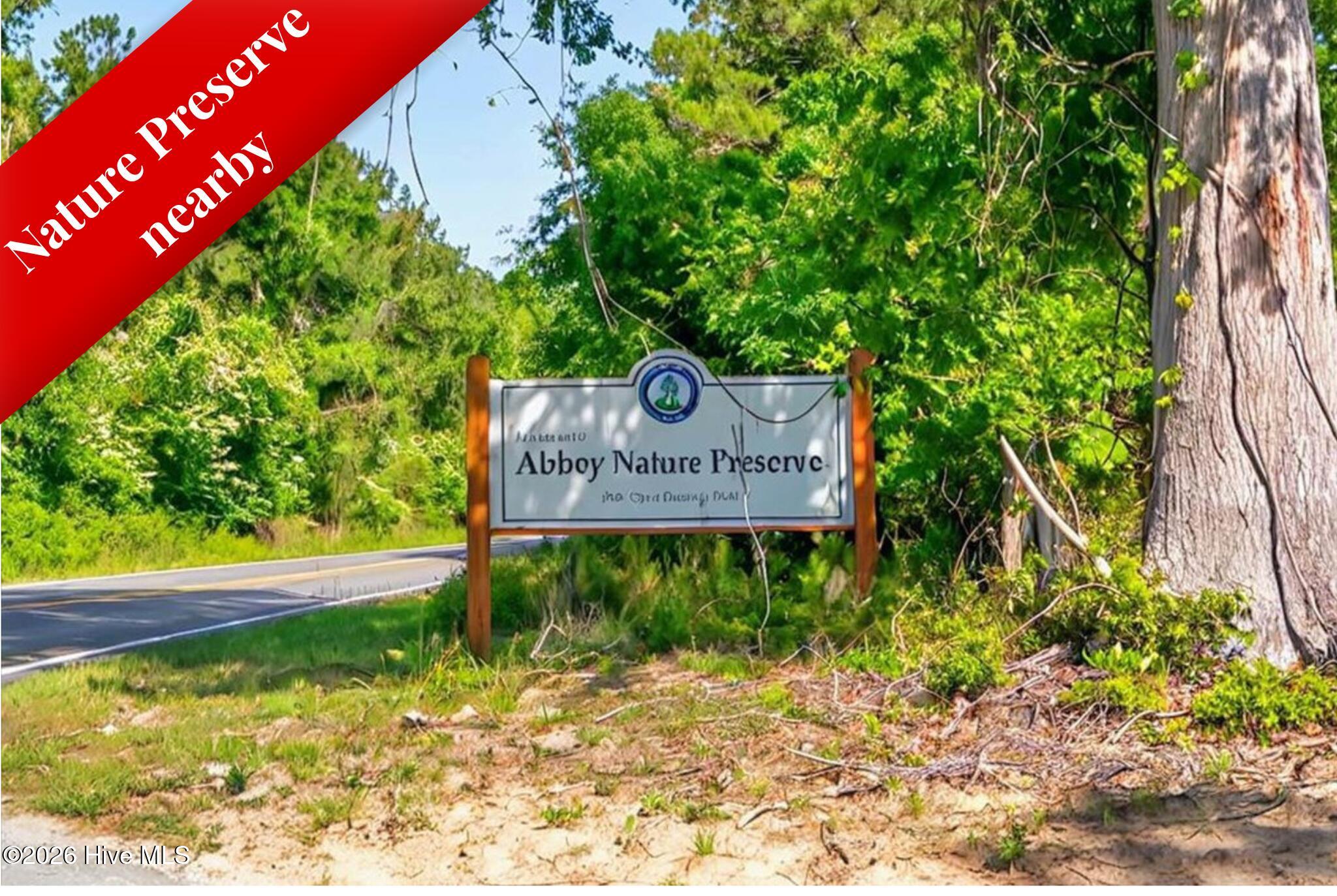 100551299 | Photo 77