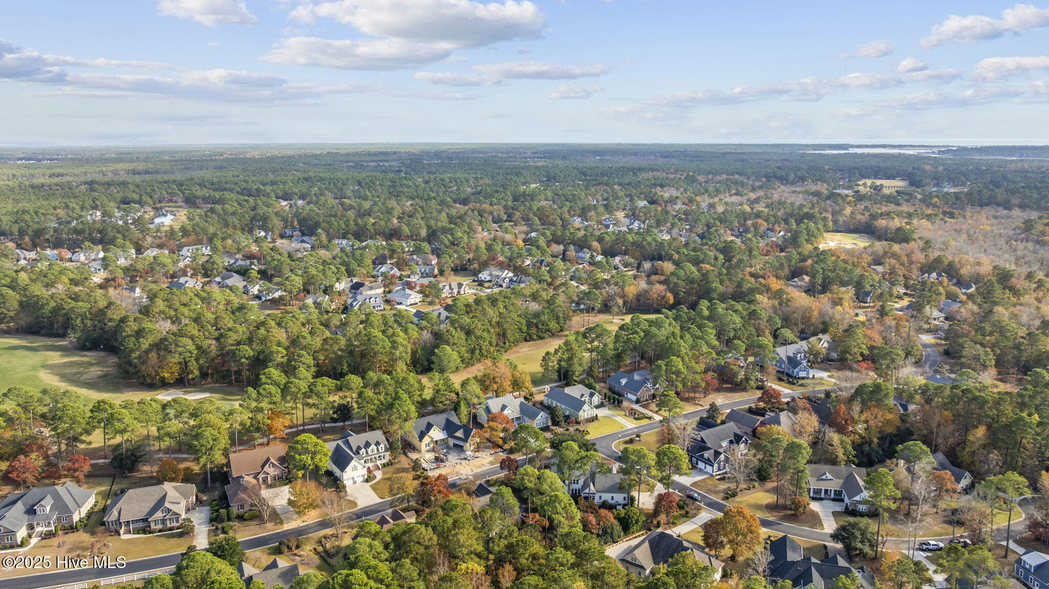 100542443 | Photo 50