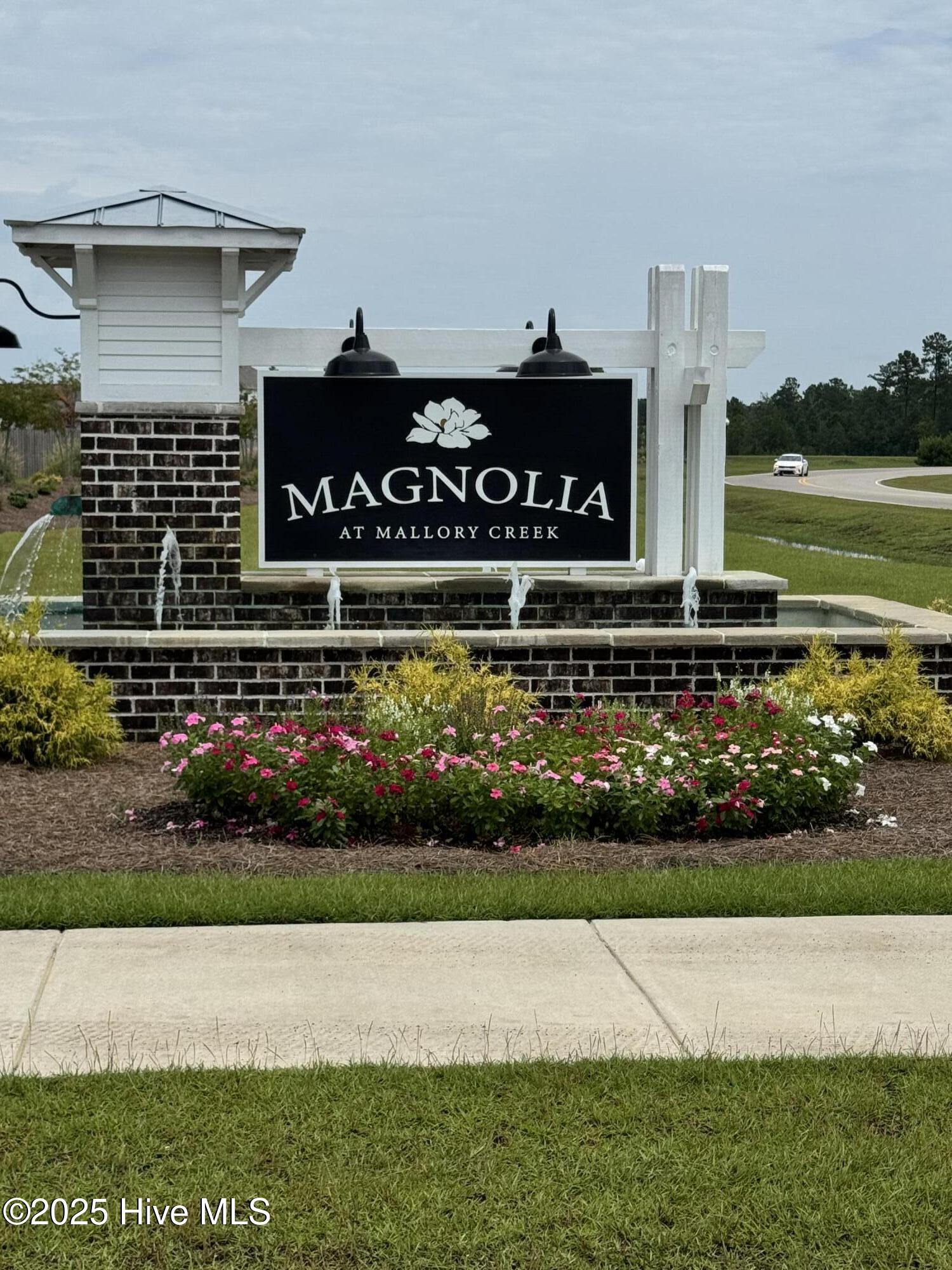 100561165 | Photo 24