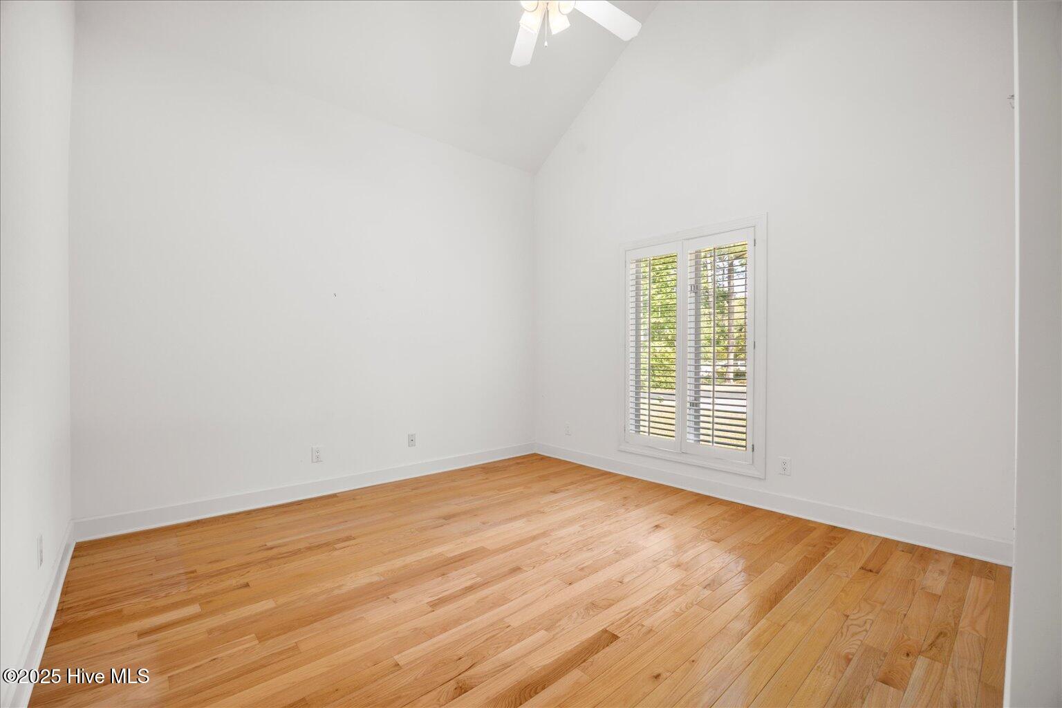 100527258 | Photo 28