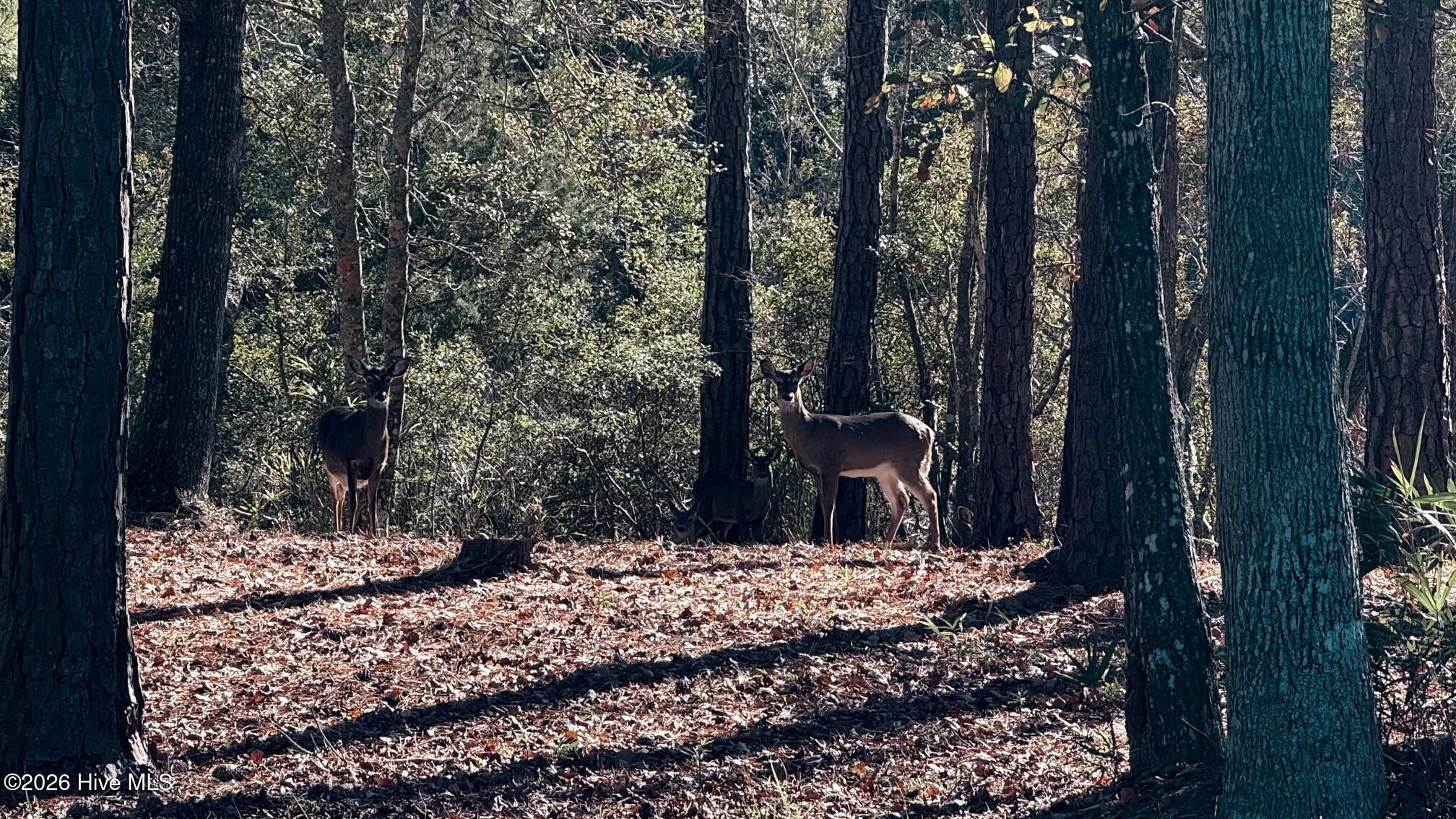 100549940 | Photo 16