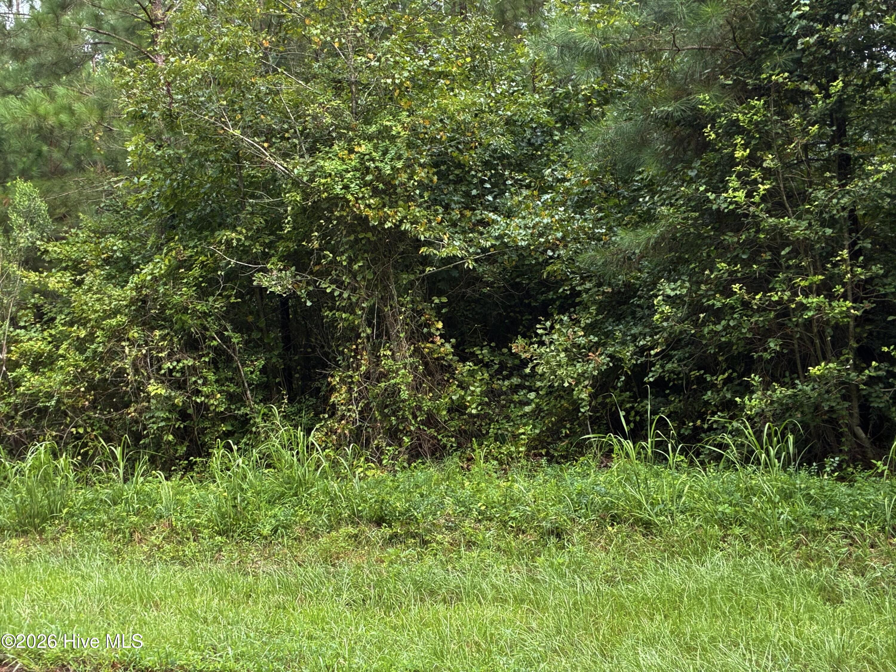 Homes for sale in Cameron, NC | 00 Briggs Rd, Cameron, NC 28326 | MLS# 100549242