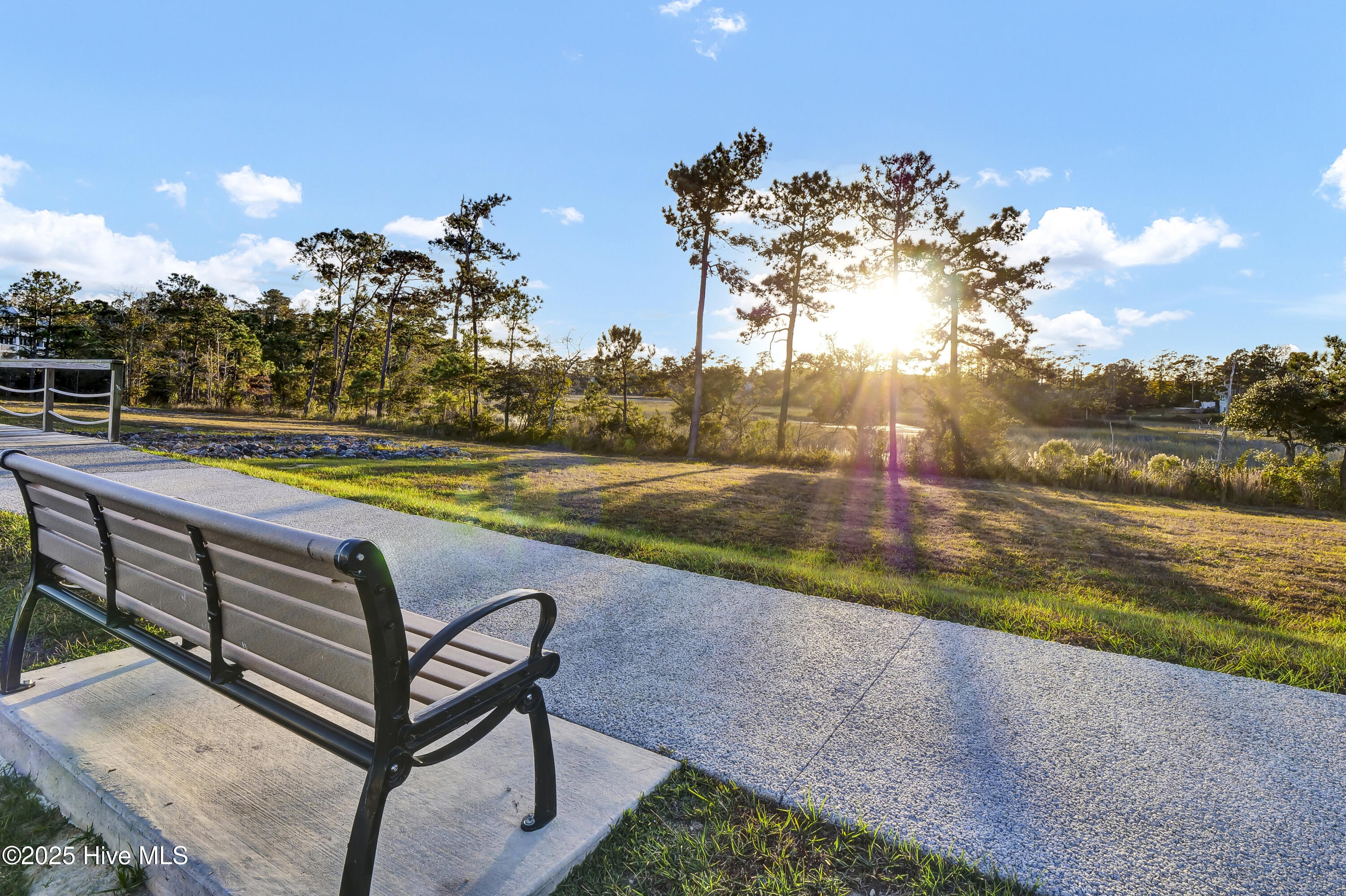 100518047 | Photo 67