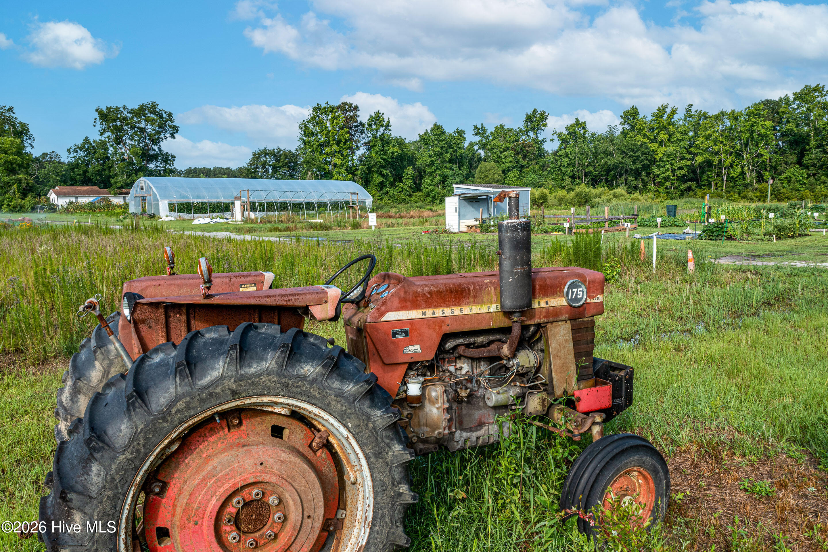 100543800 | Photo 39