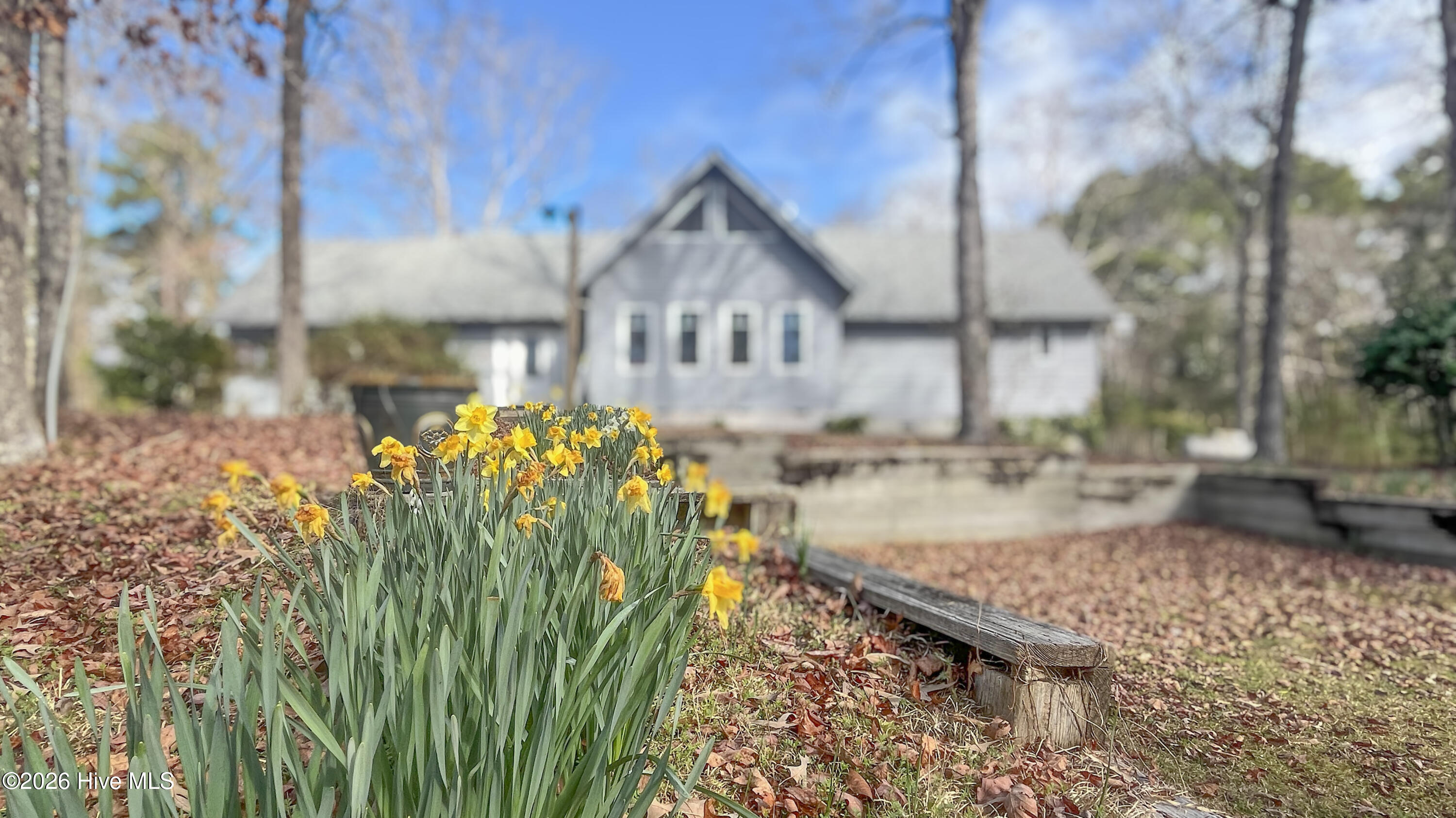 100557904 | Photo 29