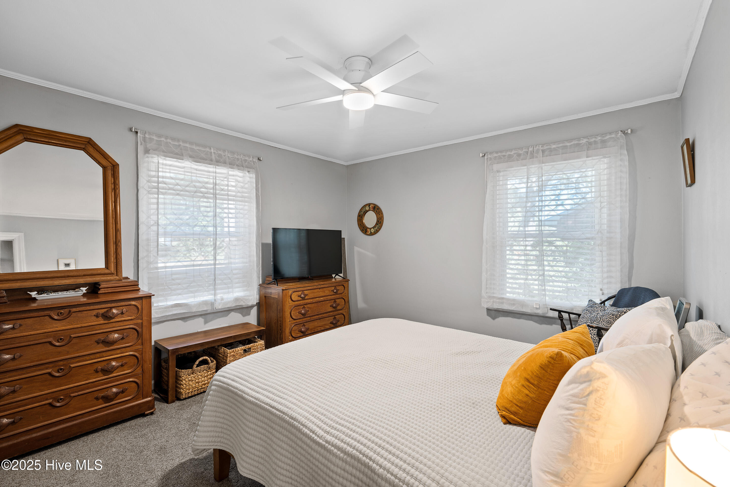 100539924 | Photo 22