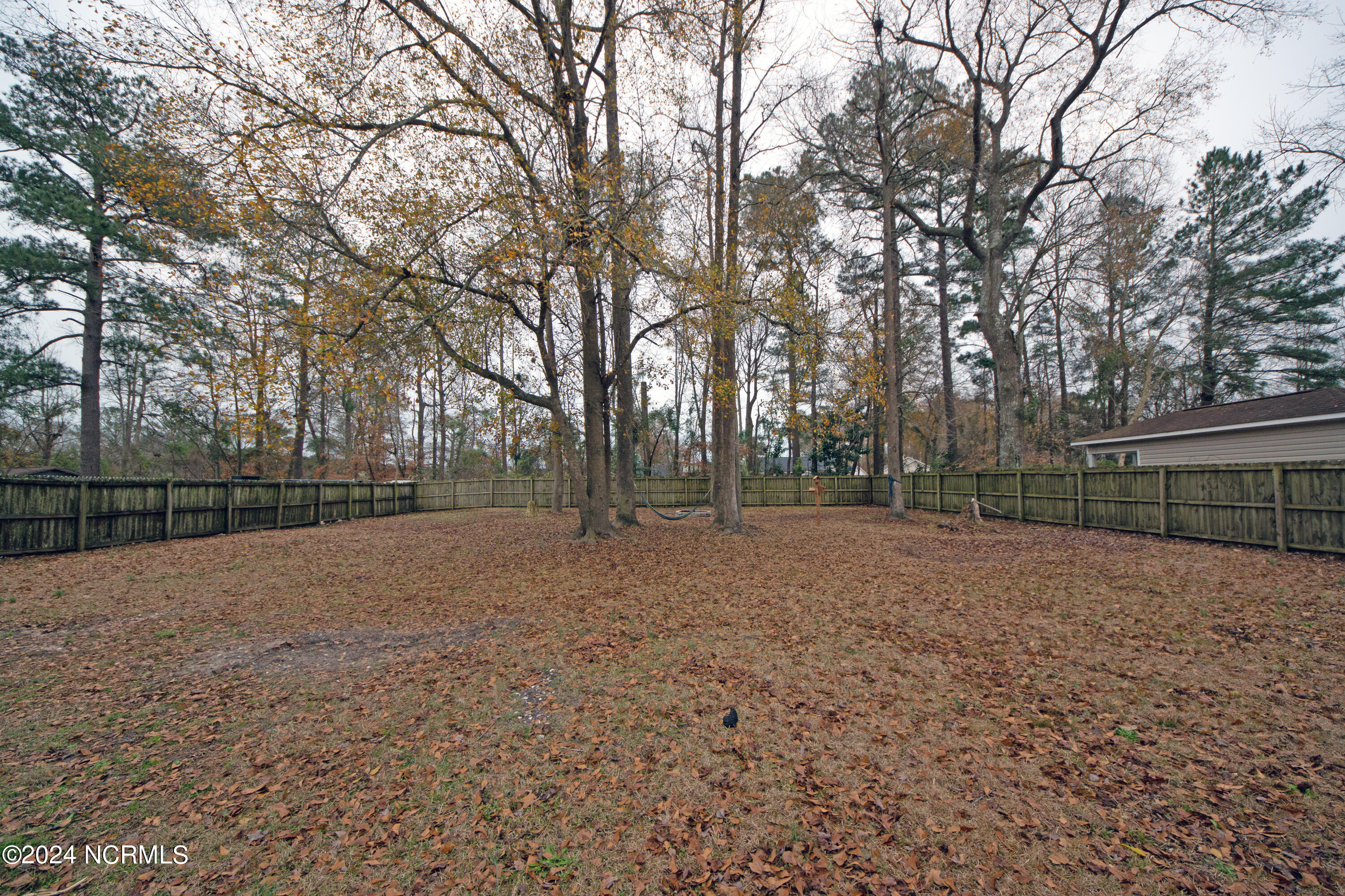 100577691 | Photo 32
