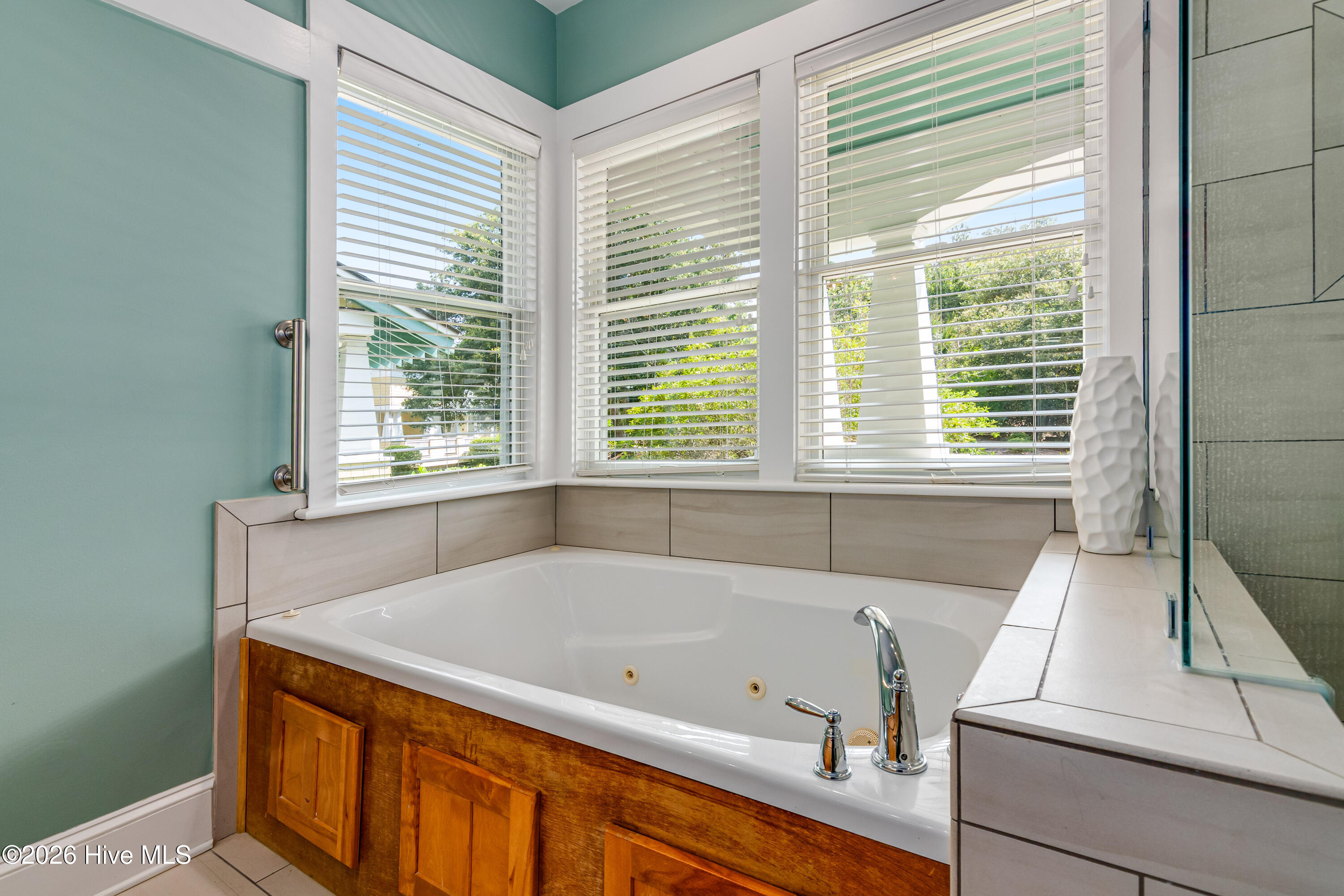 100565822 | Photo 29