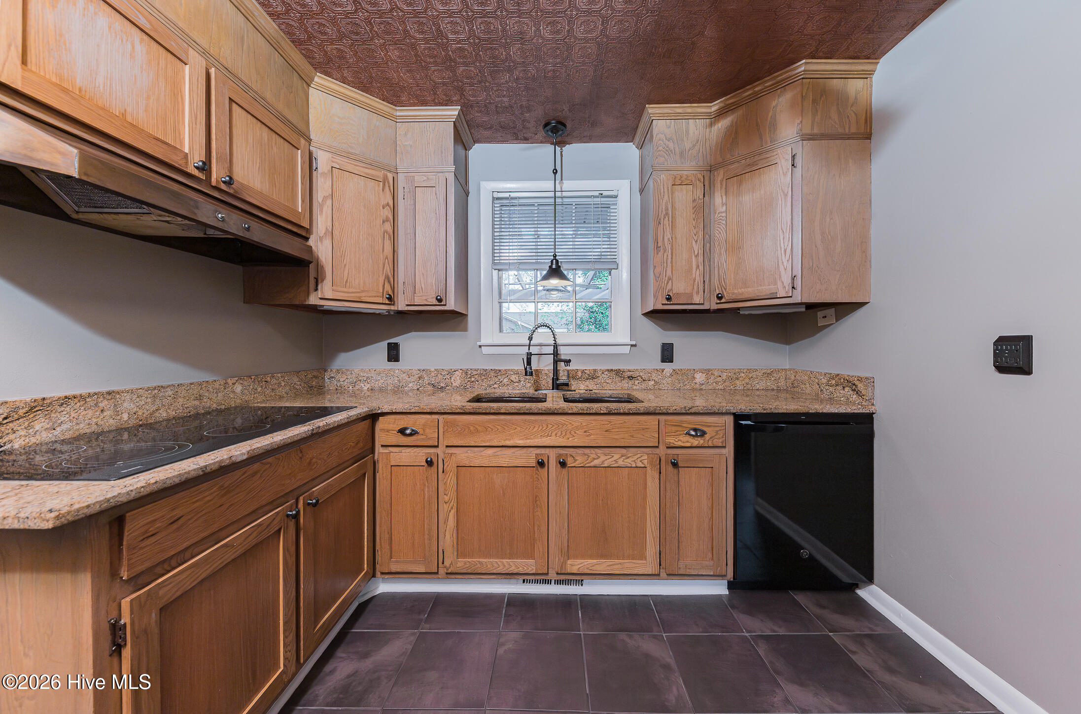 100563981 | Photo 17