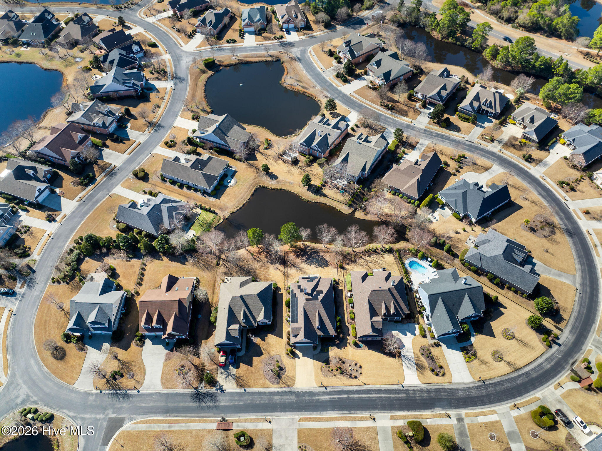 100564801 | Photo 53