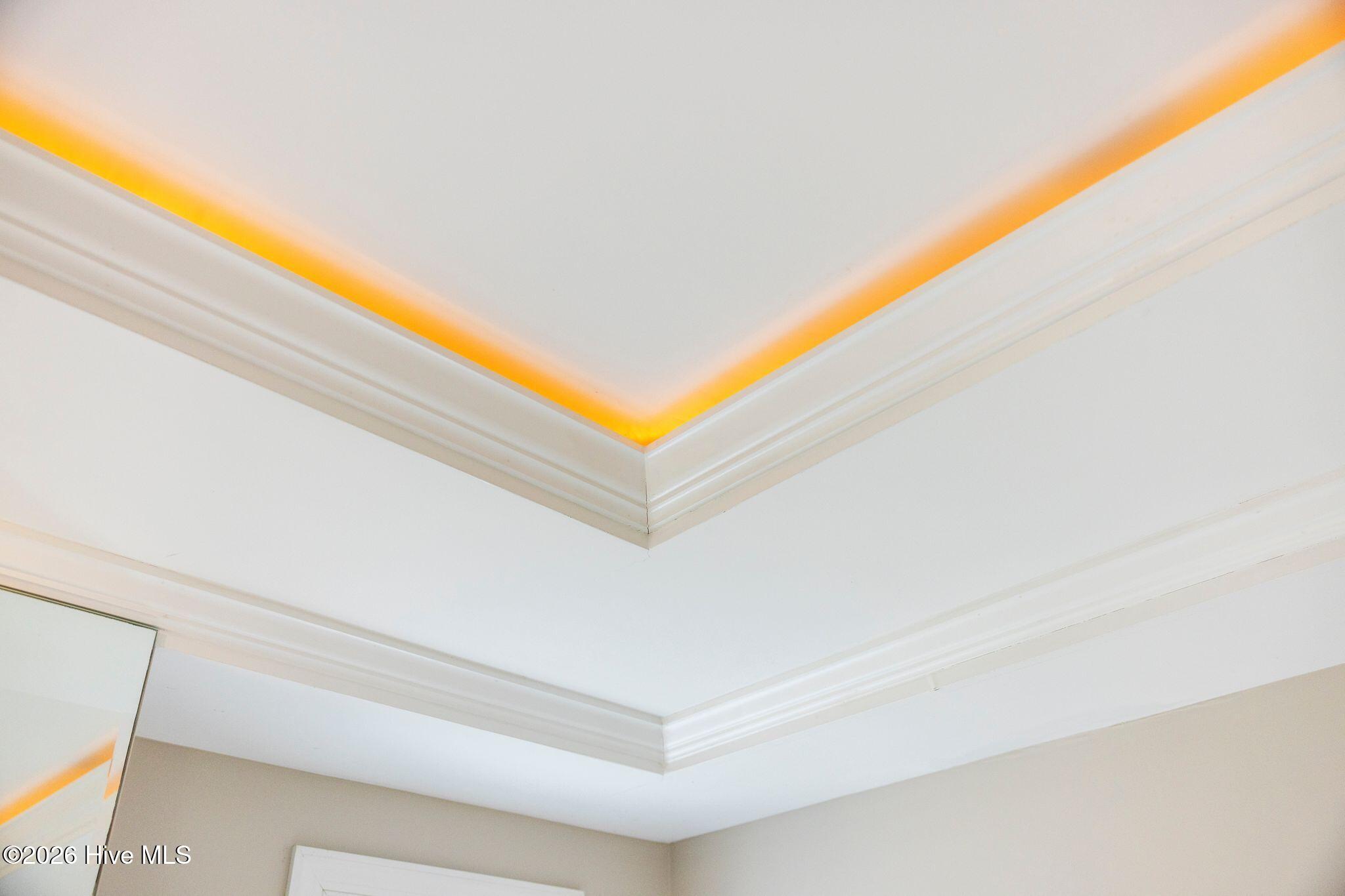 100553307 | Photo 44