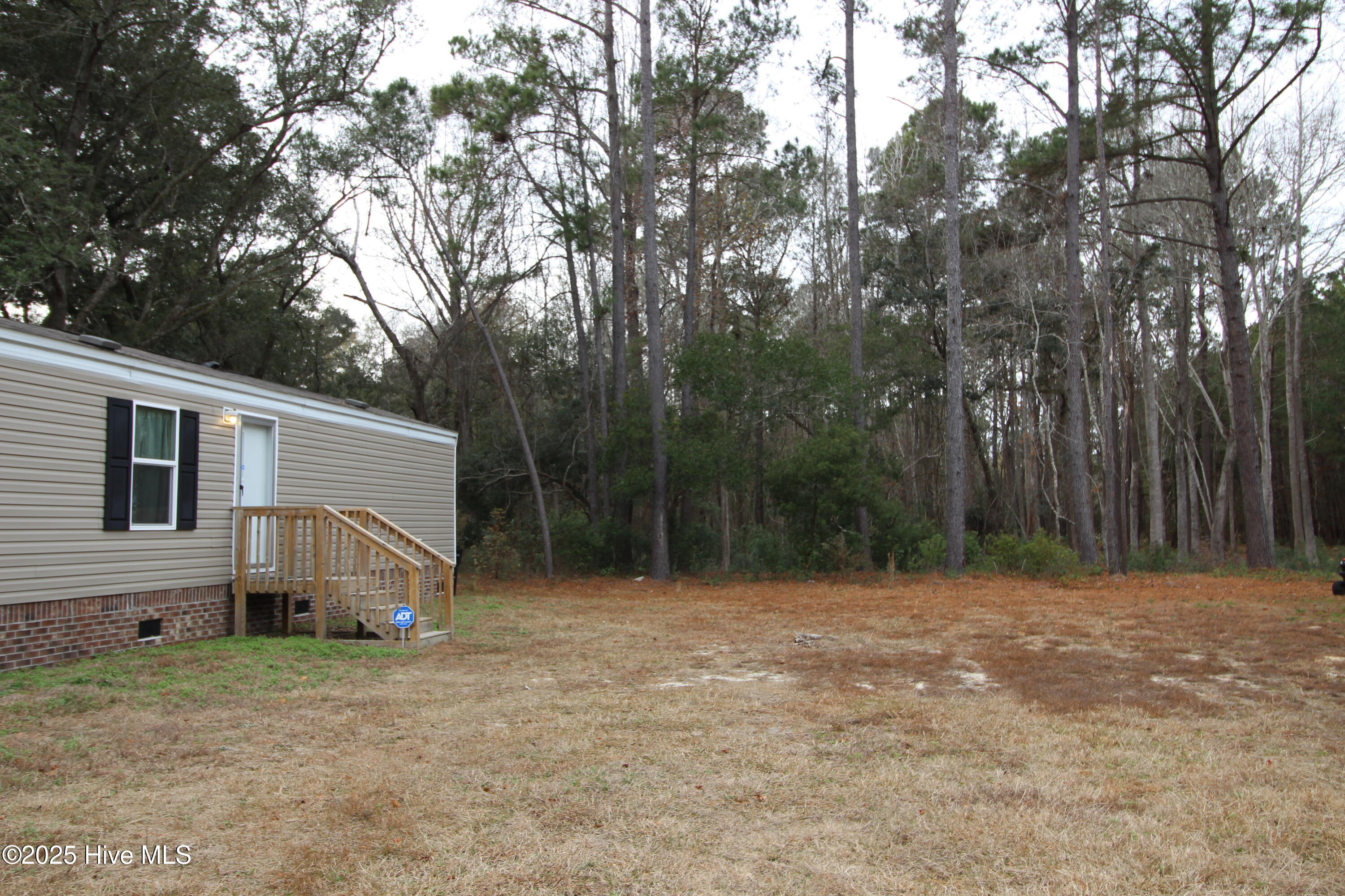 100548481 | Photo 29