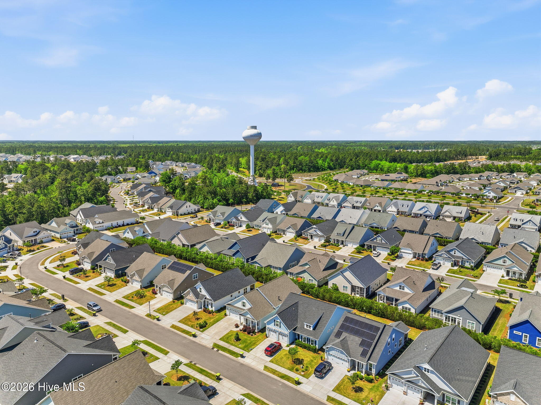 100568500 | Photo 55