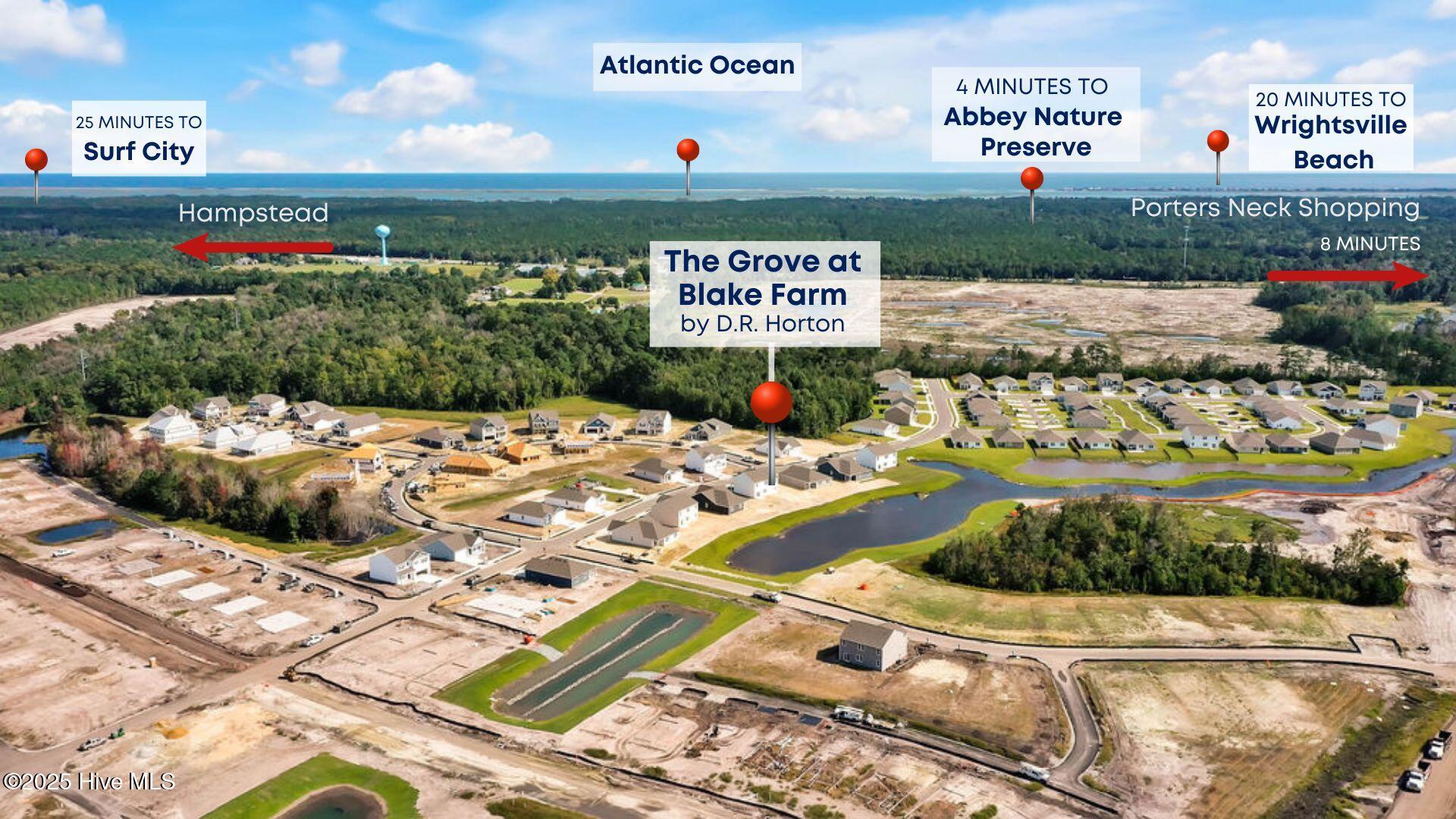 100531117 | Photo 31