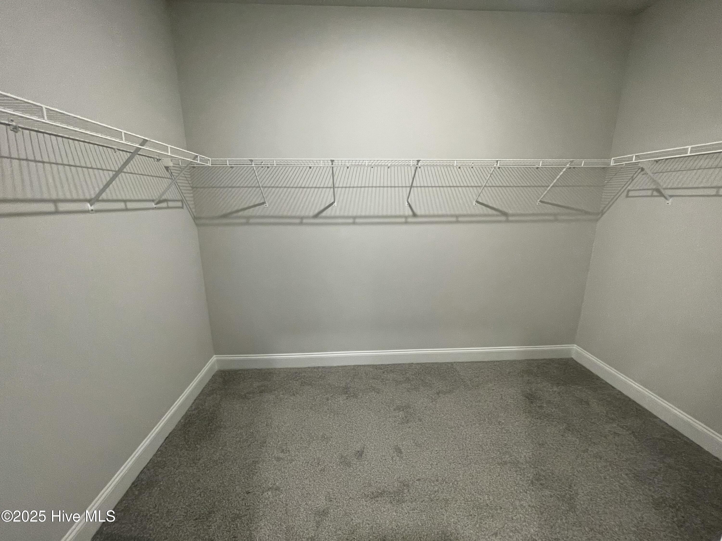 100514580 | Photo 41