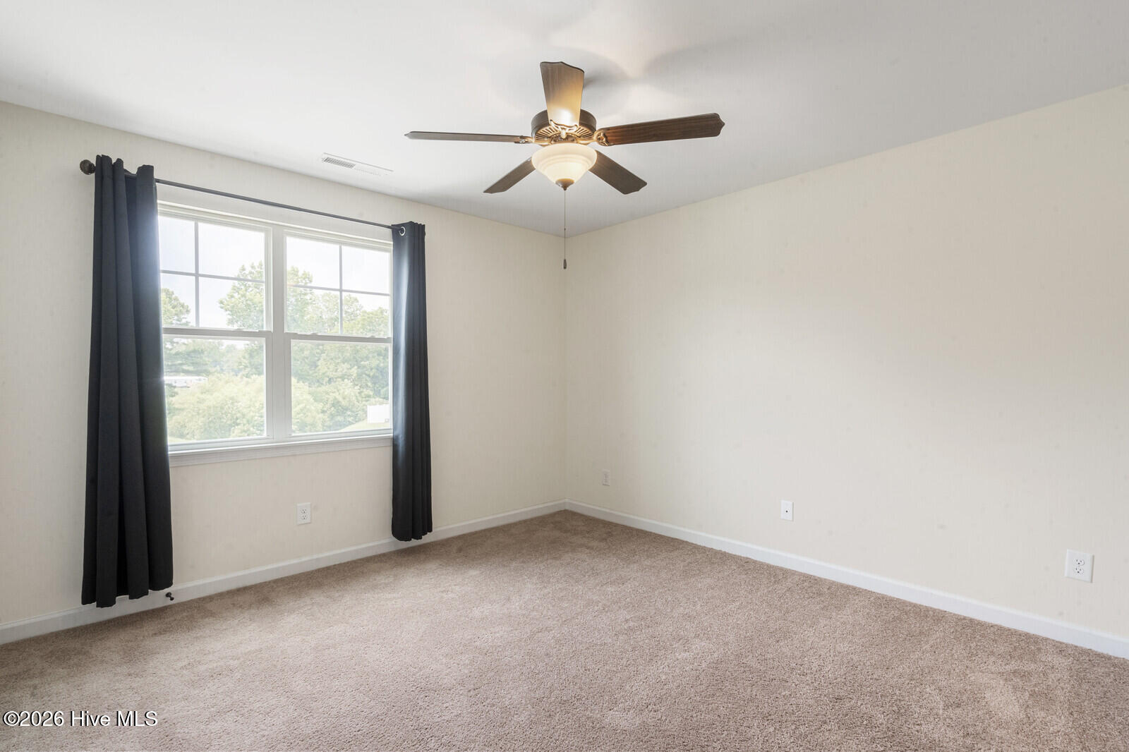 100562999 | Photo 23