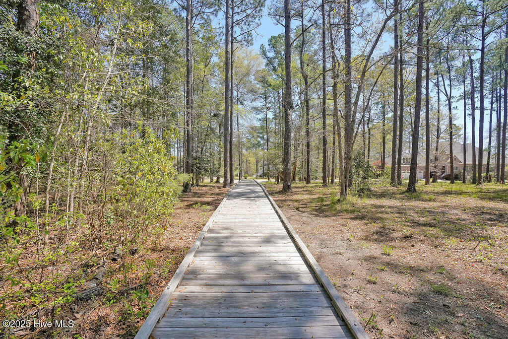 100542530 | Photo 64