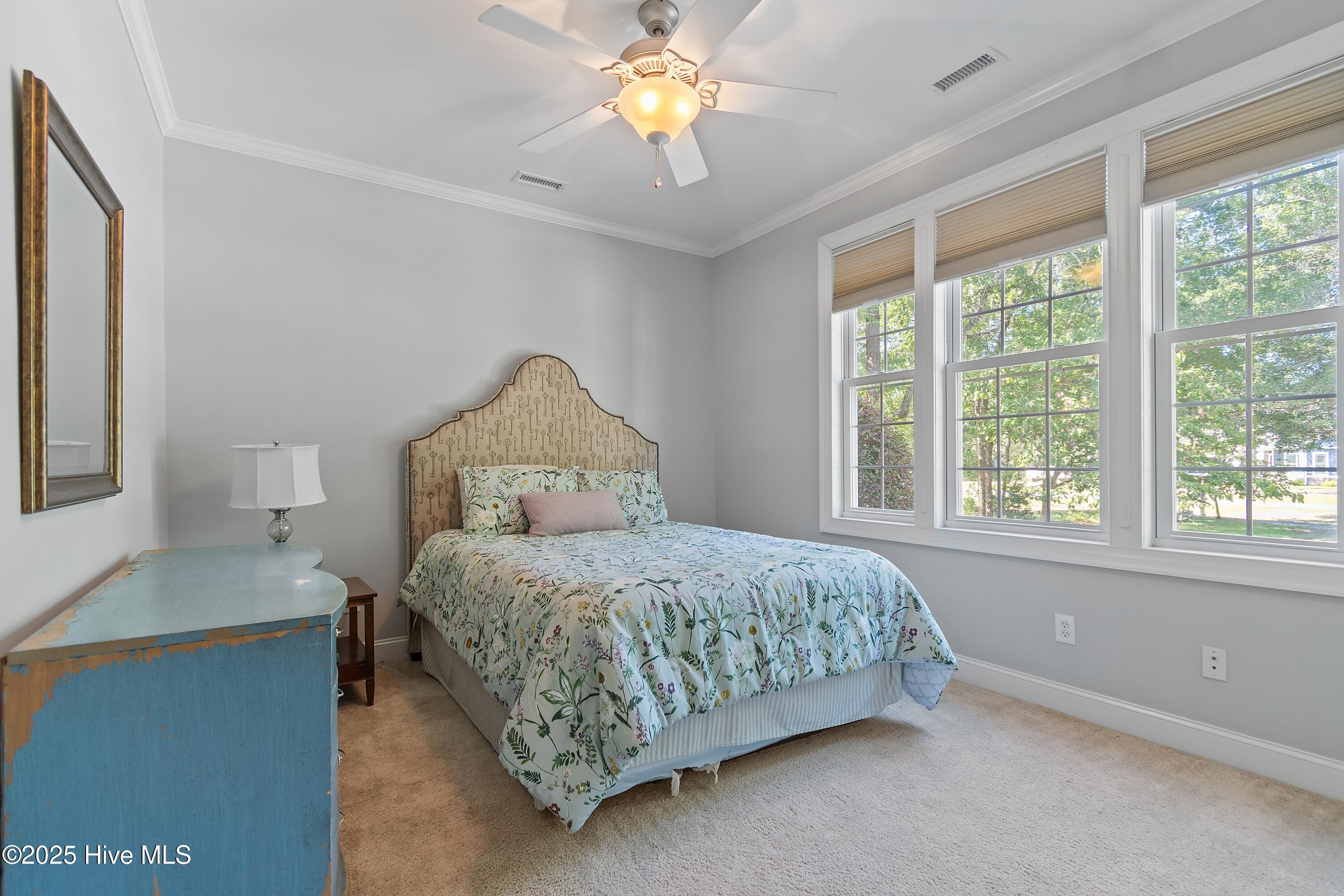 100528627 | Photo 23