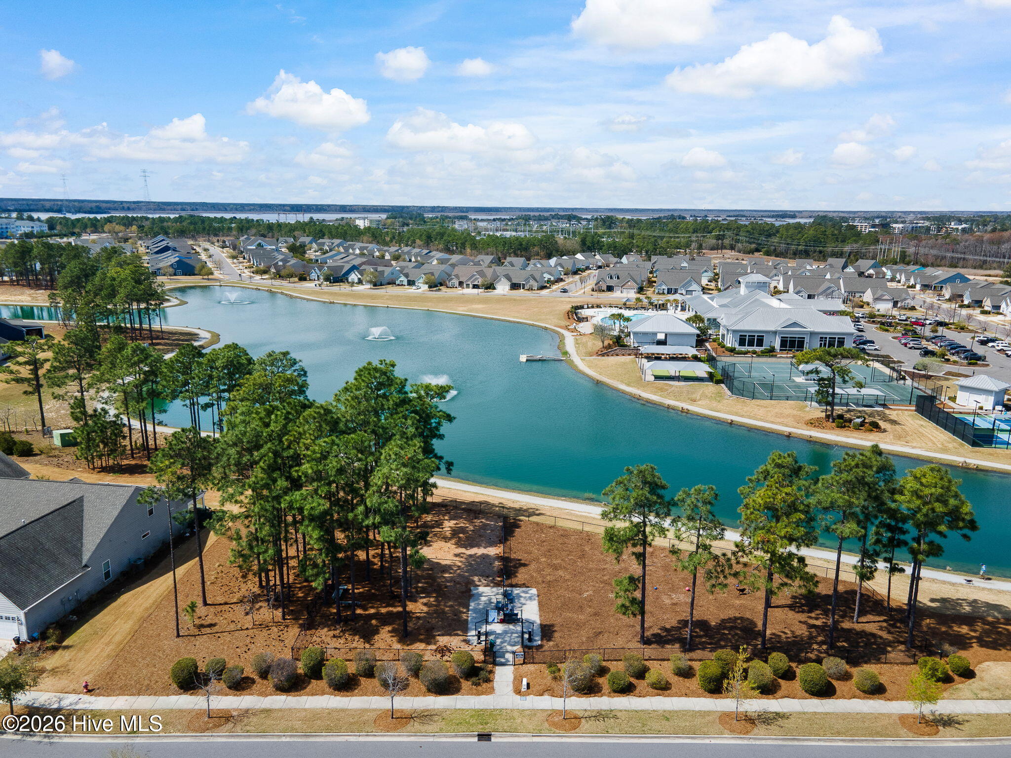 100565858 | Photo 65