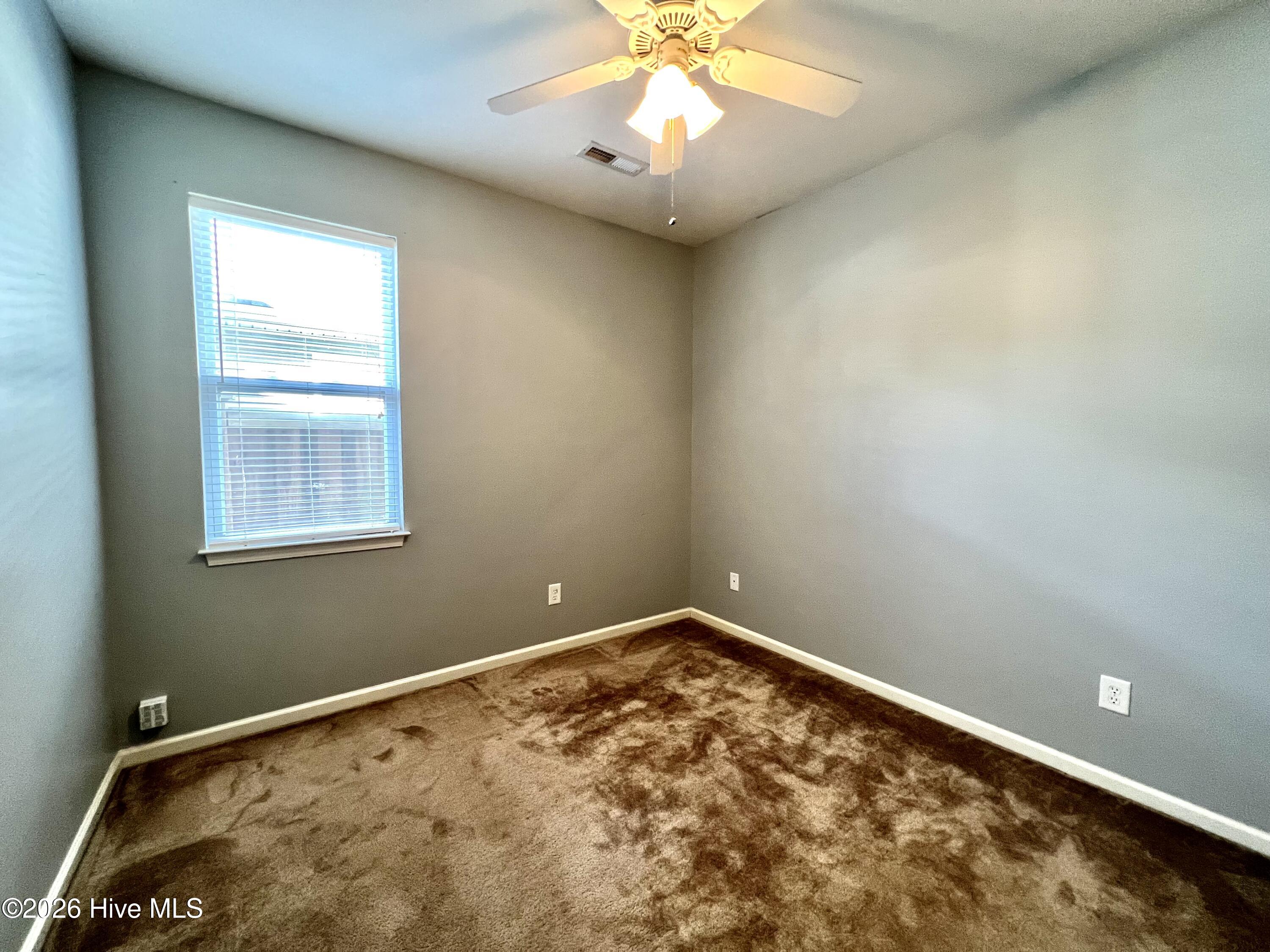 100565978 | Photo 12