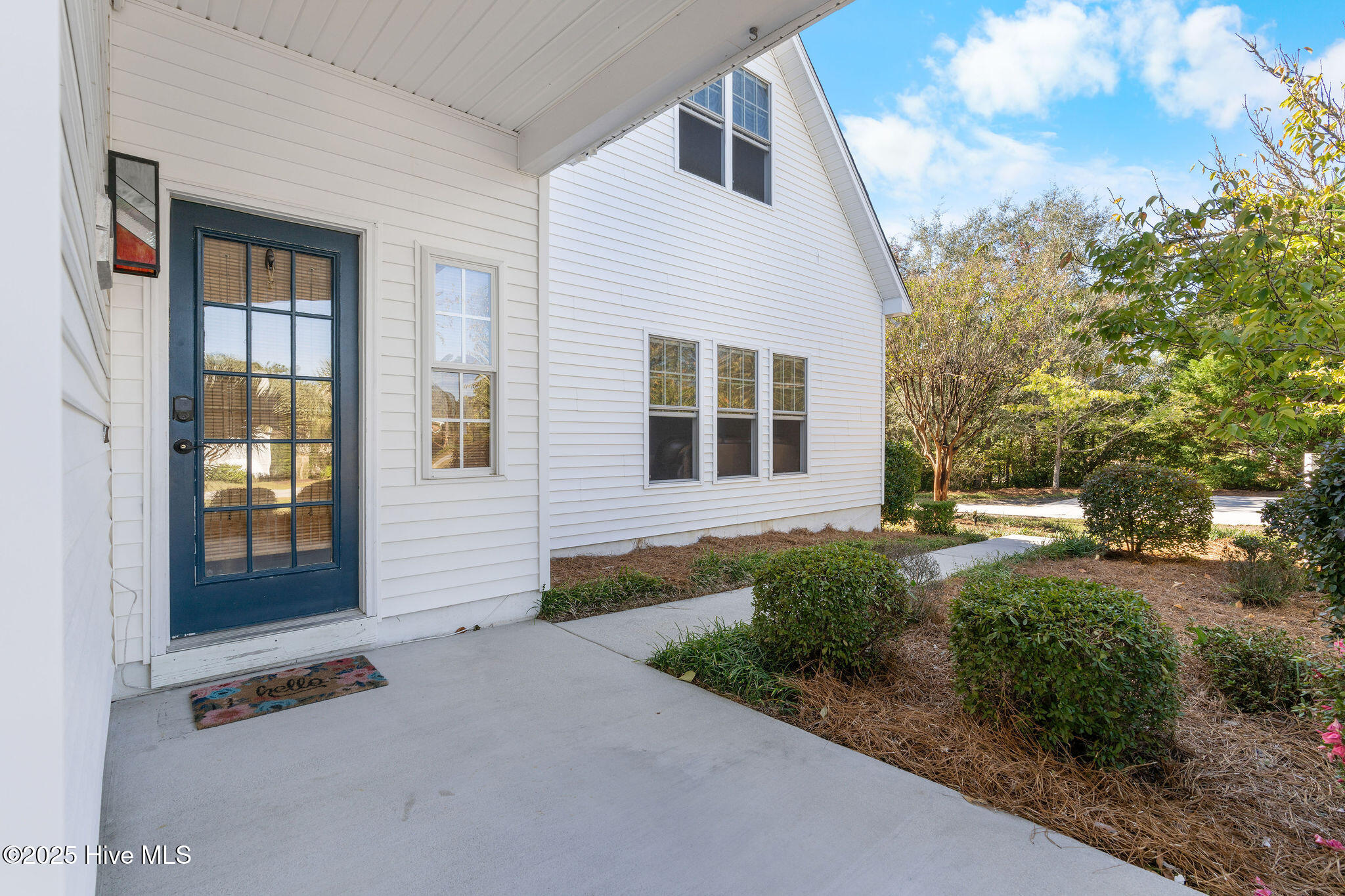 100539157 | Photo 12