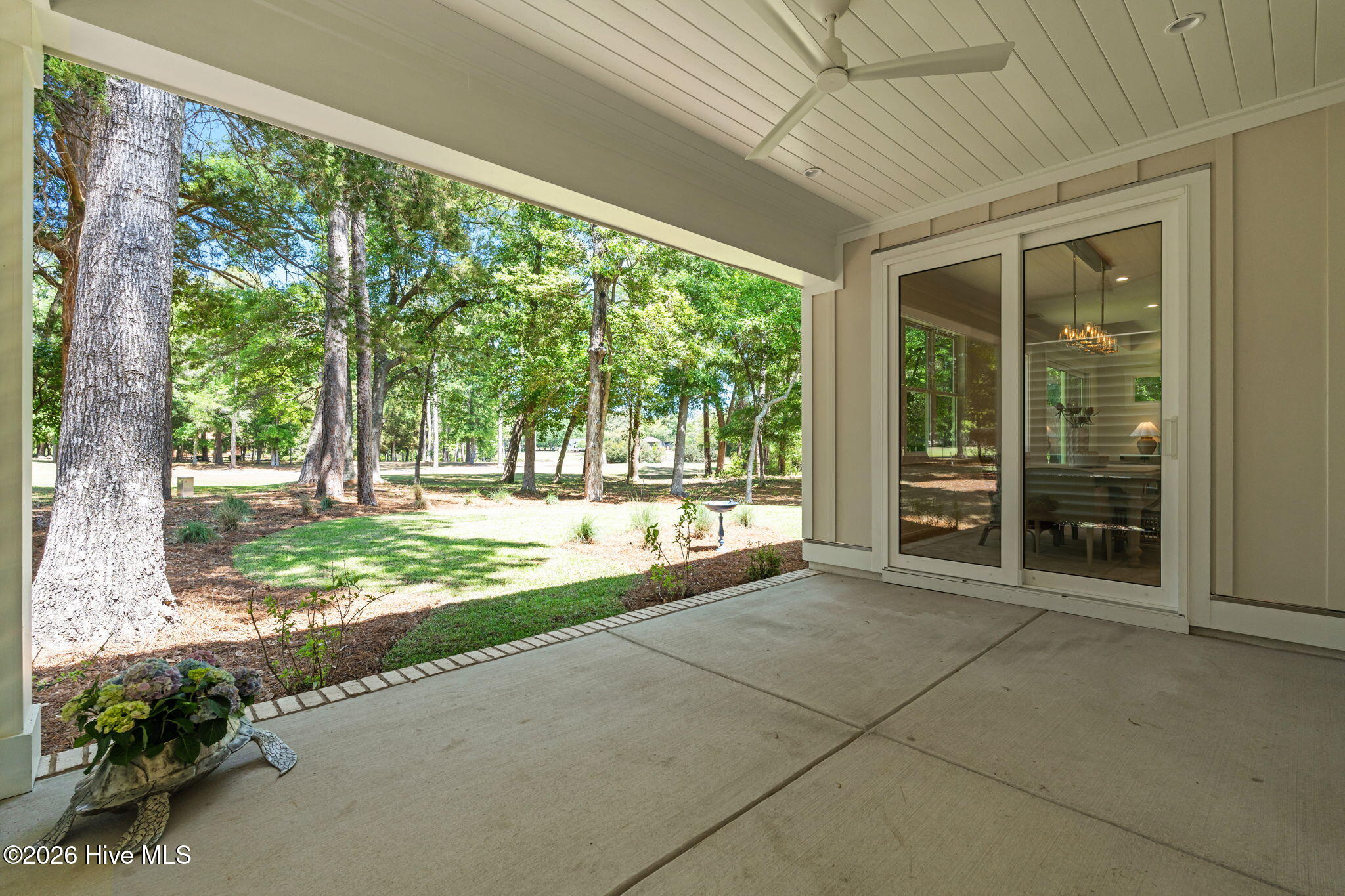 100568916 | Photo 57