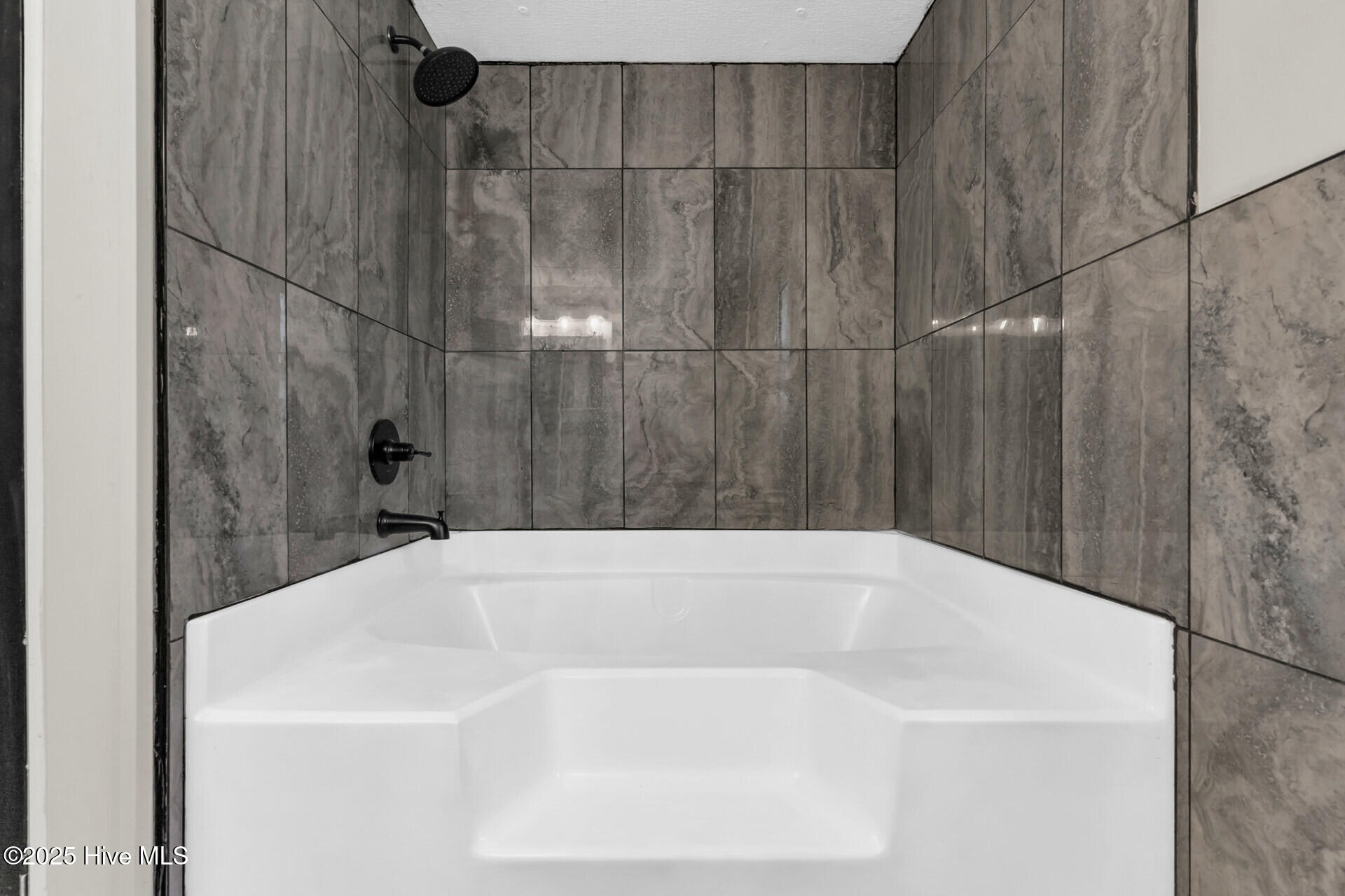 100503188 | Photo 17