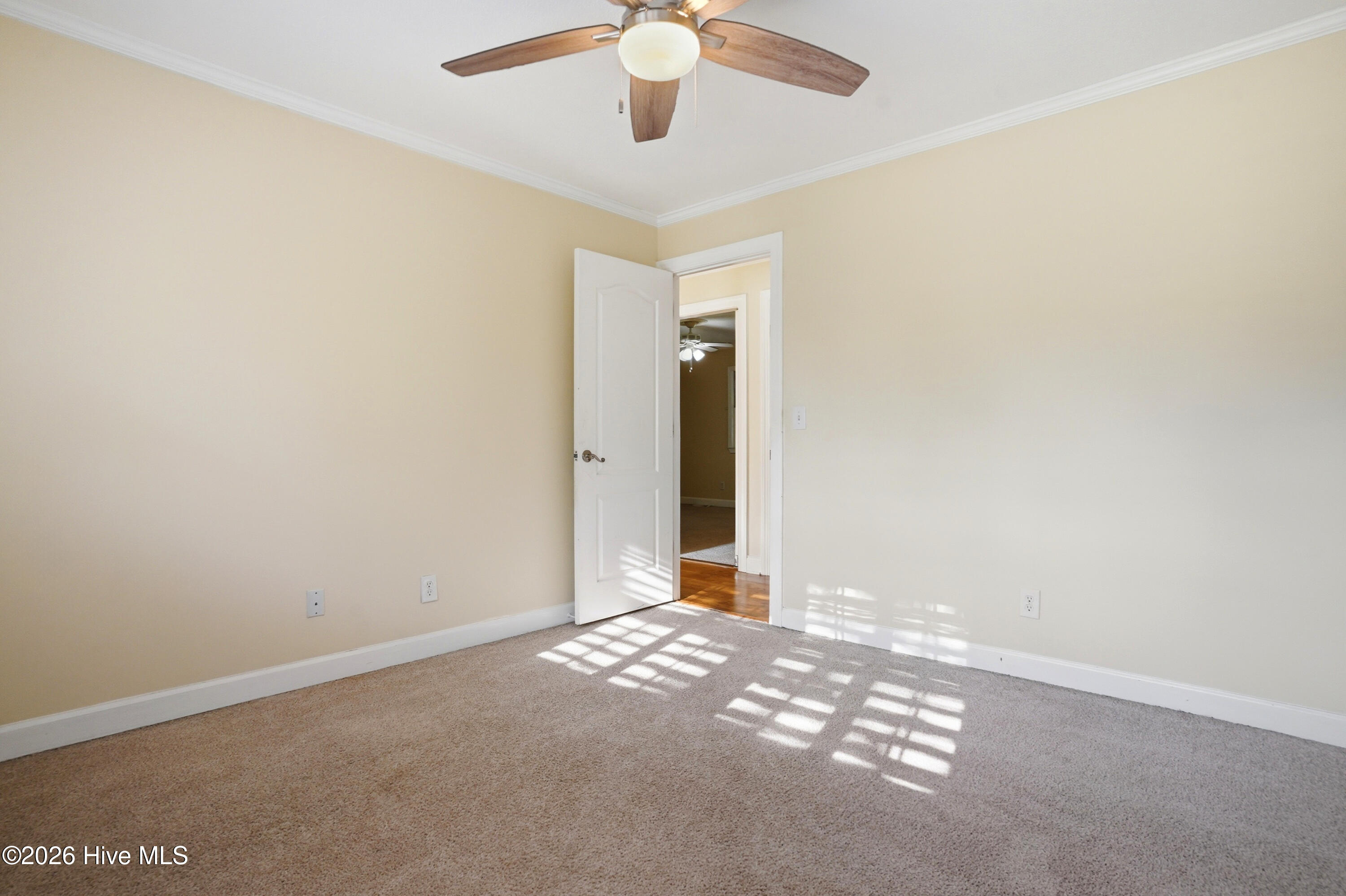 100567003 | Photo 23