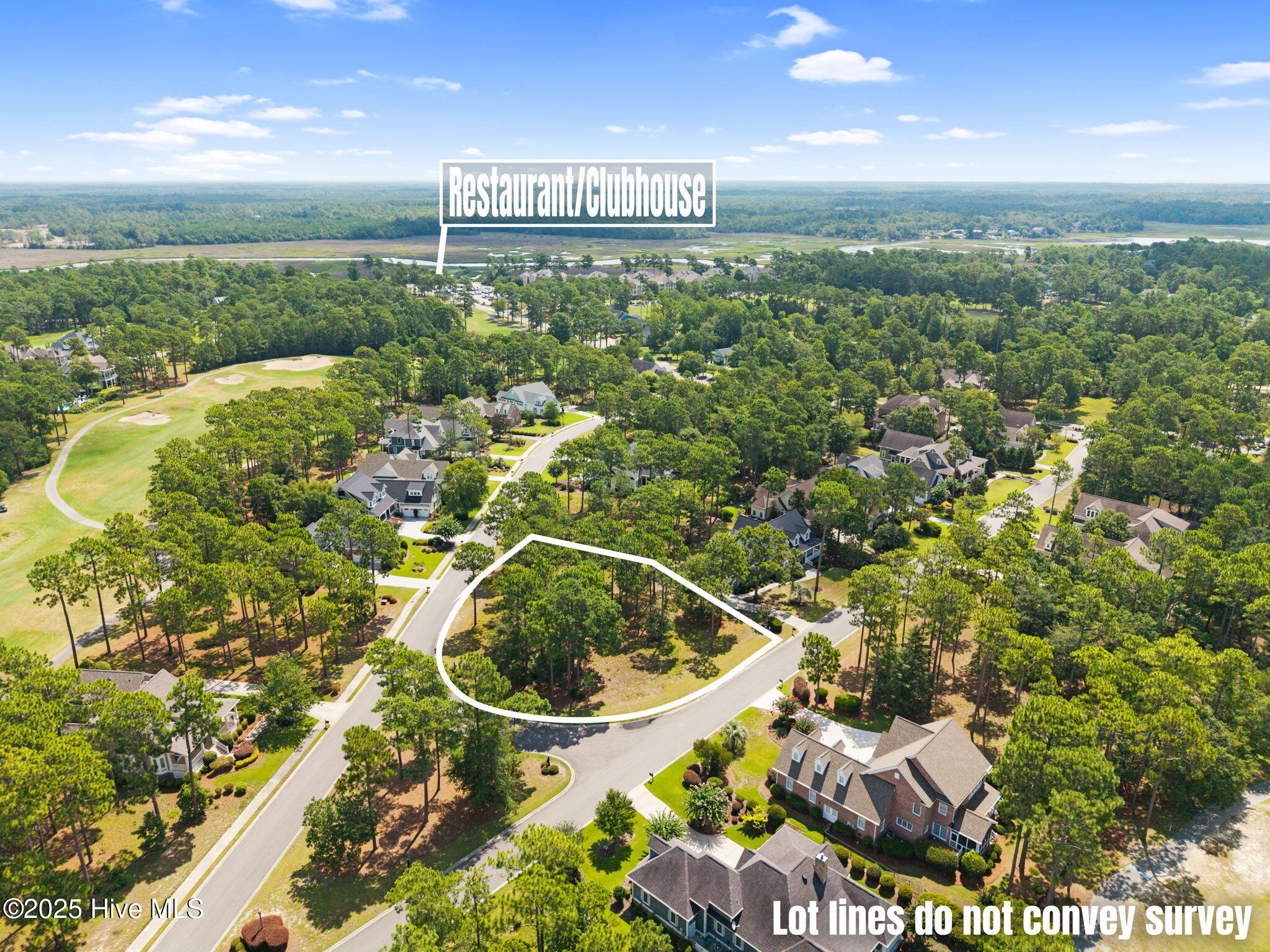 100560686 | Photo 13