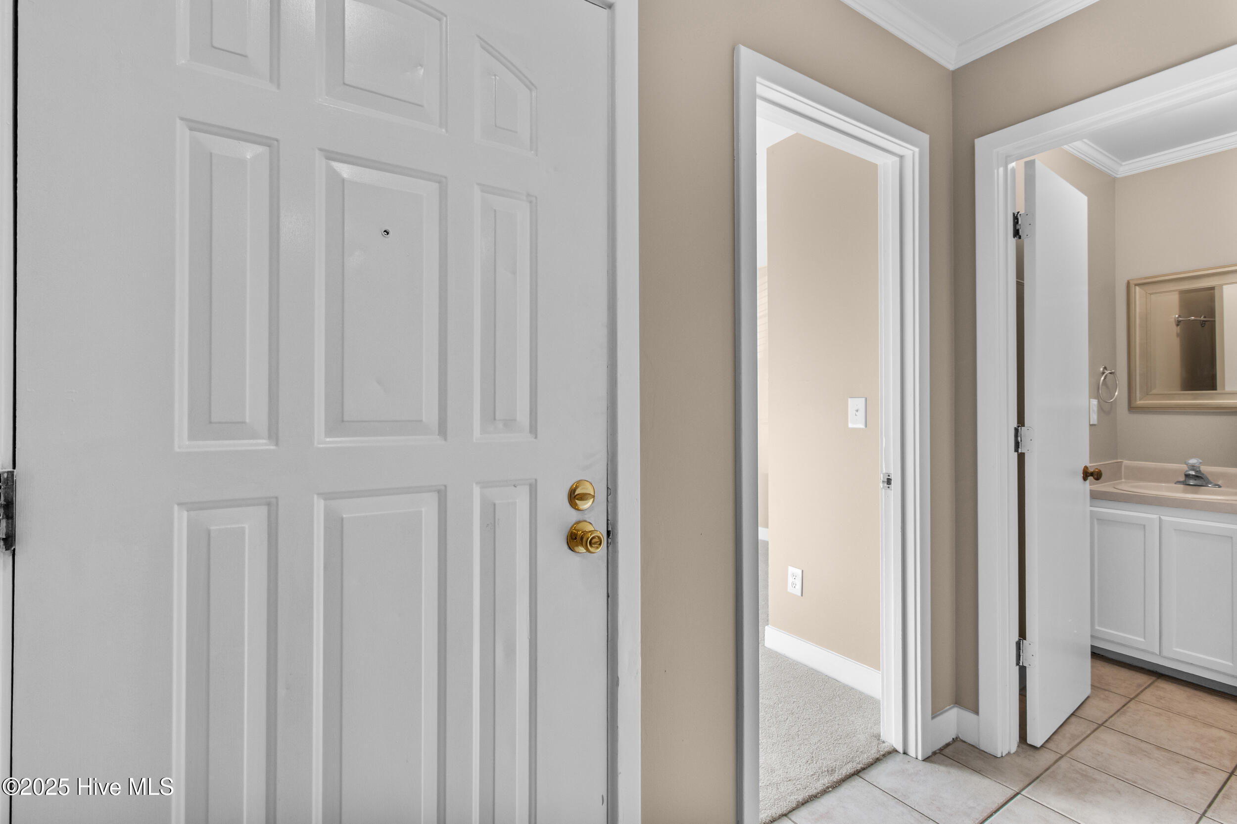 100540699 | Photo 10