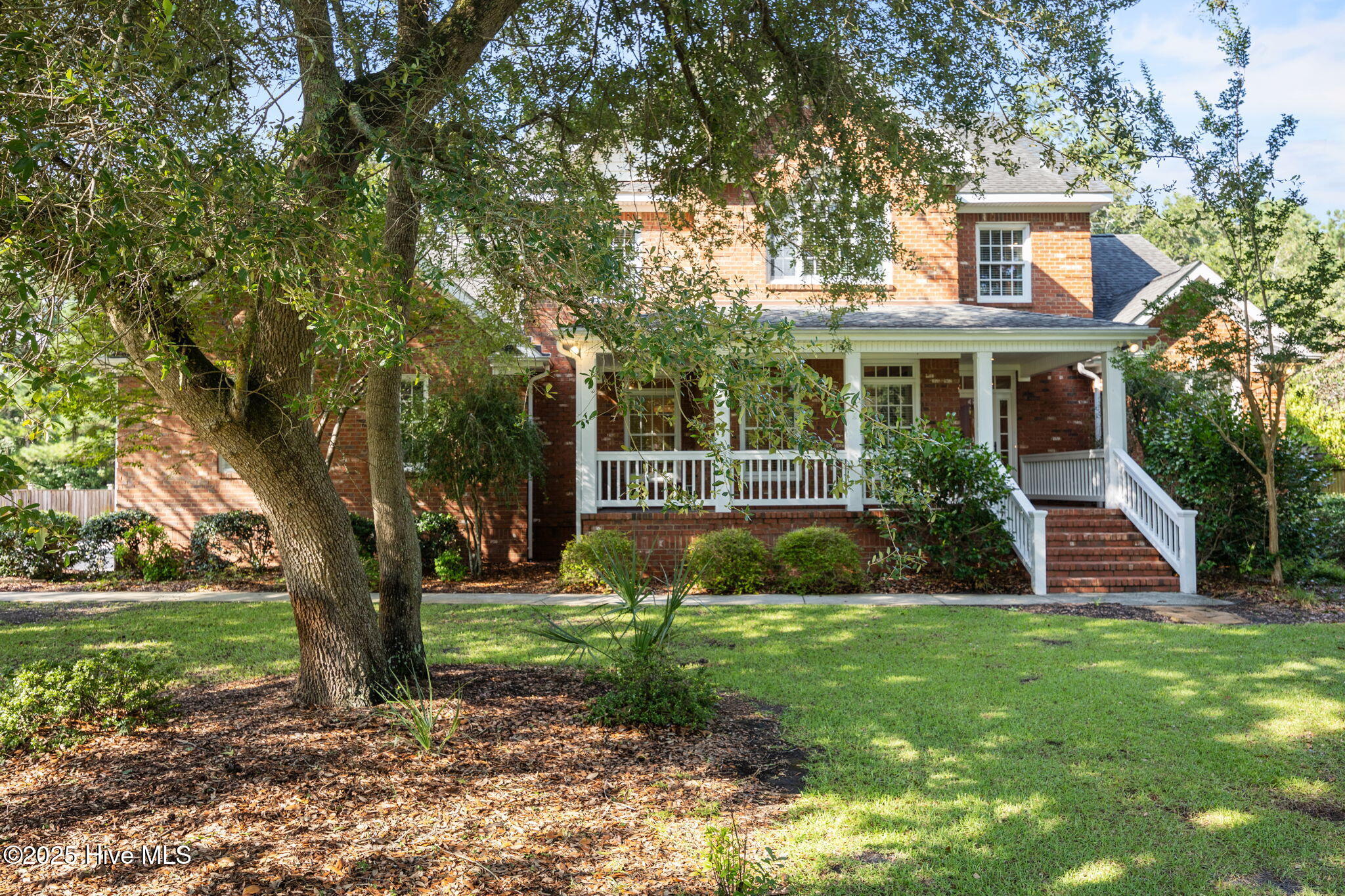 100518834 | Photo 50